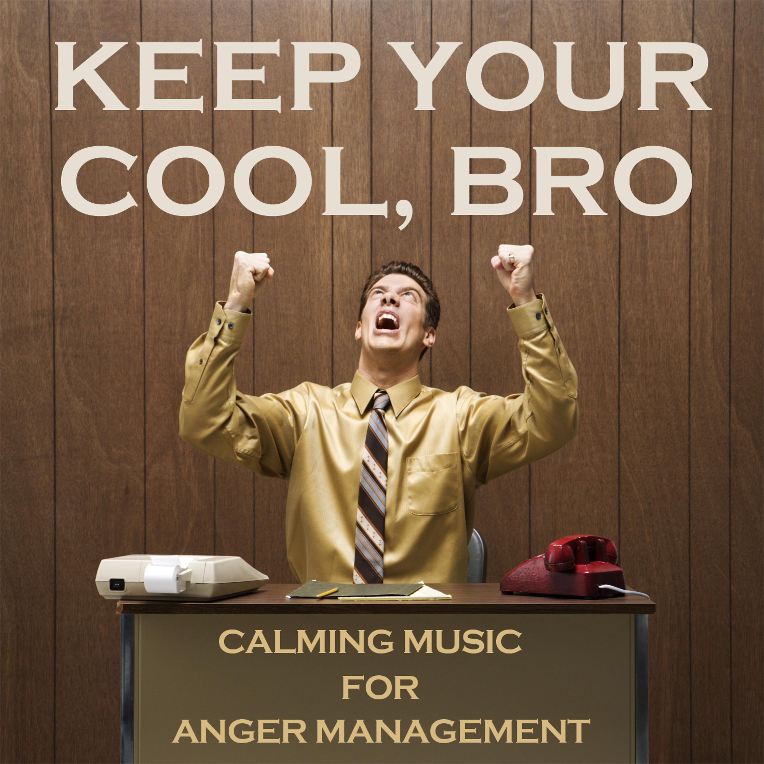 Постер альбома Keep Your Cool, Bro: Over 6 Hours of Calming Music for Anger Management