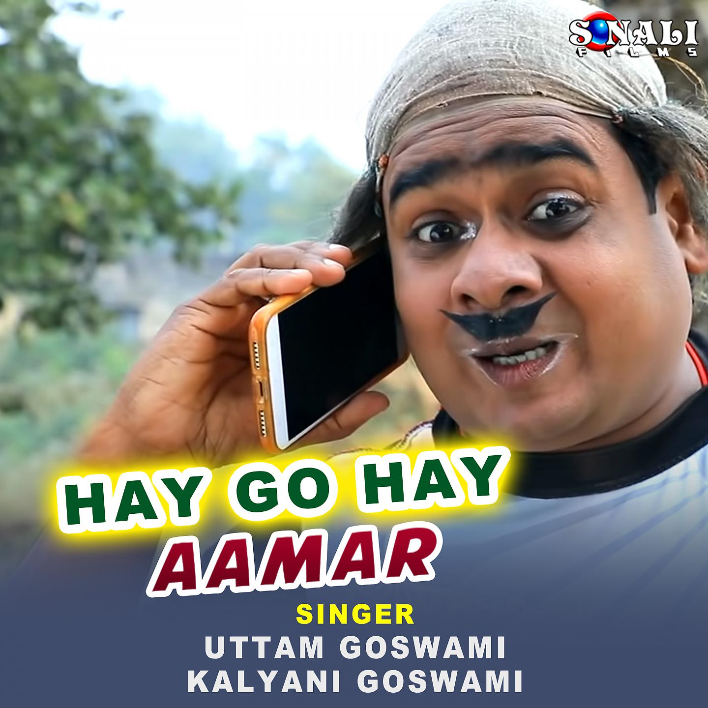 Постер альбома Hay go Hay Aamar