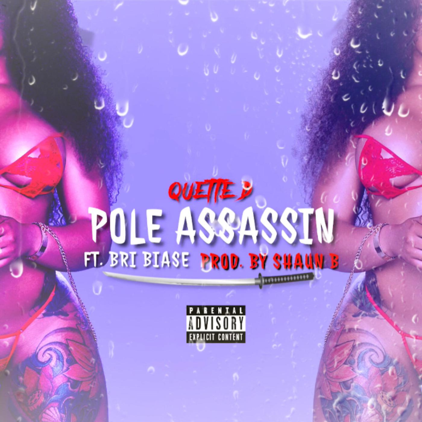 Постер альбома Pole Assassin