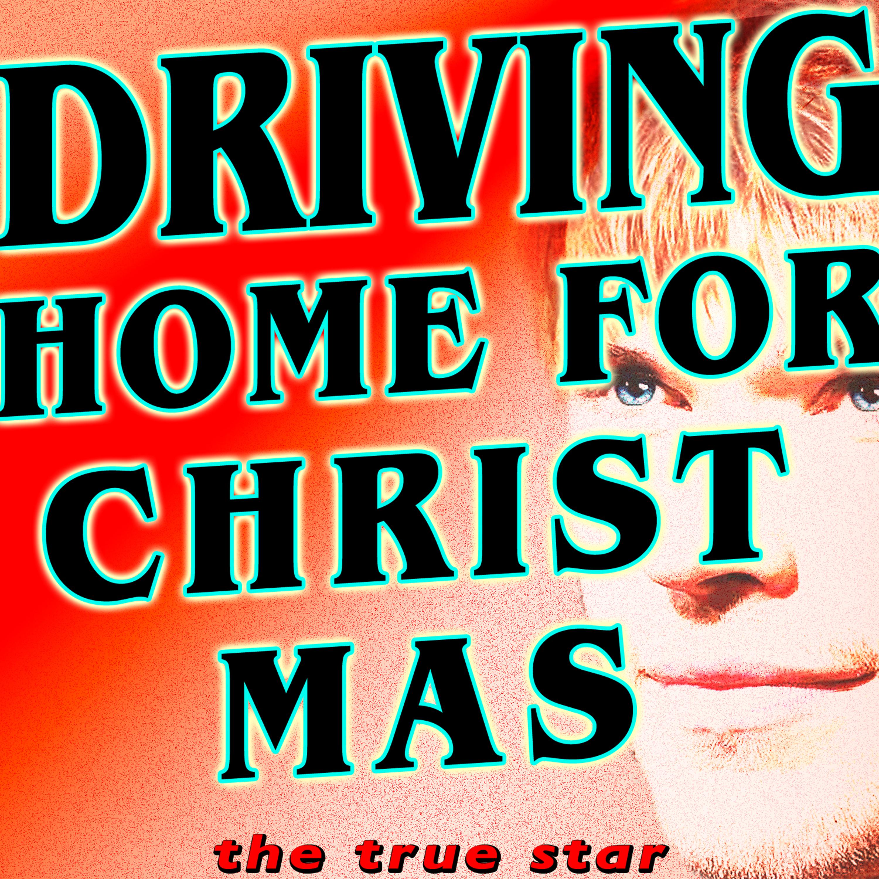 Постер альбома Driving Home For Christmas (Chris Rea Tribute)