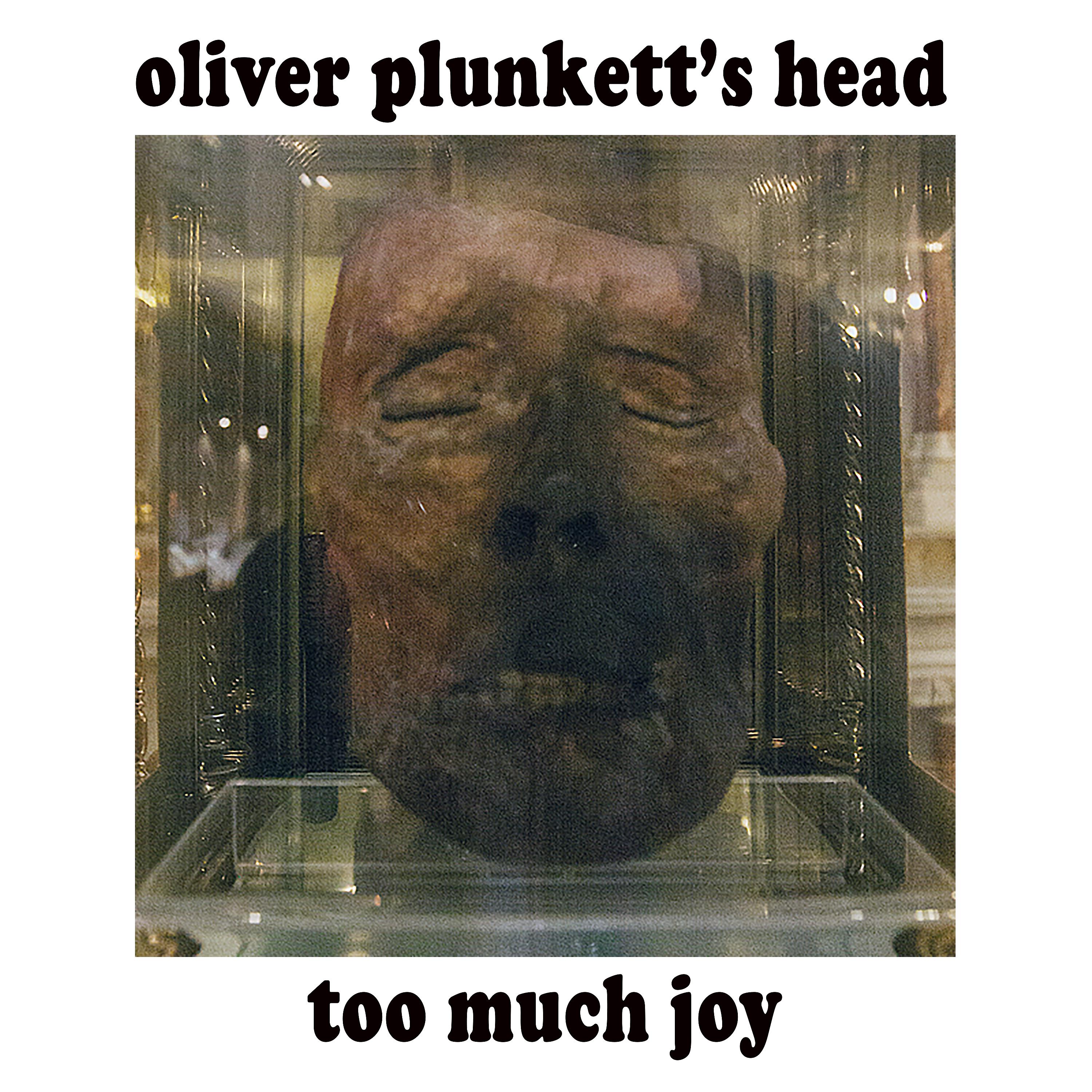 Постер альбома Oliver Plunkett's Head