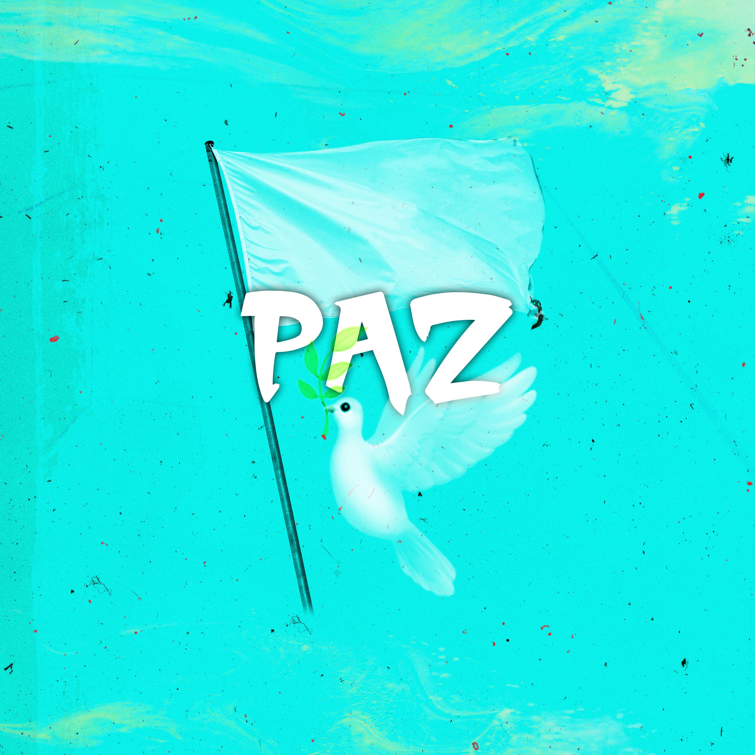 Постер альбома Paz (Stop The Violence)