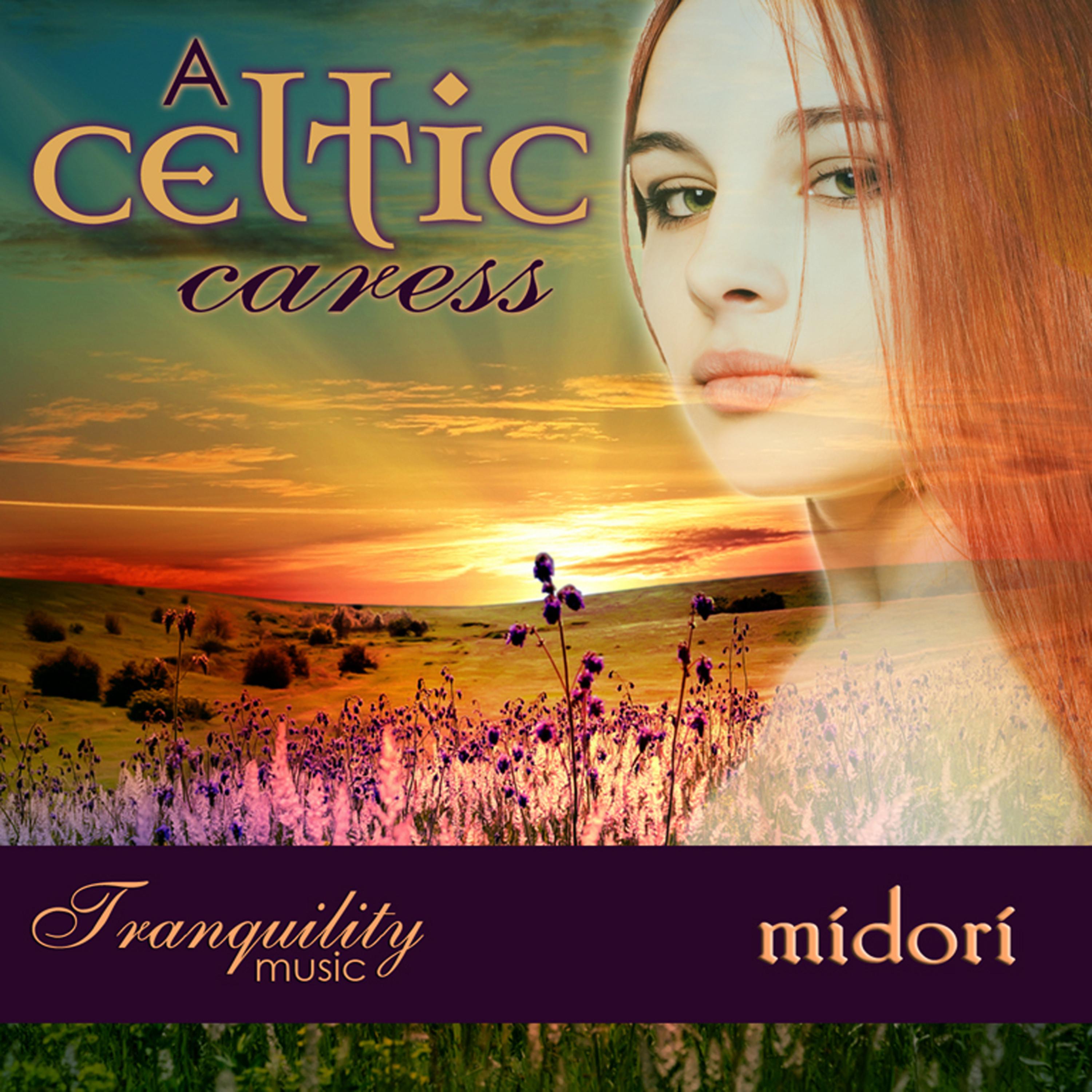 Постер альбома A Celtic Caress