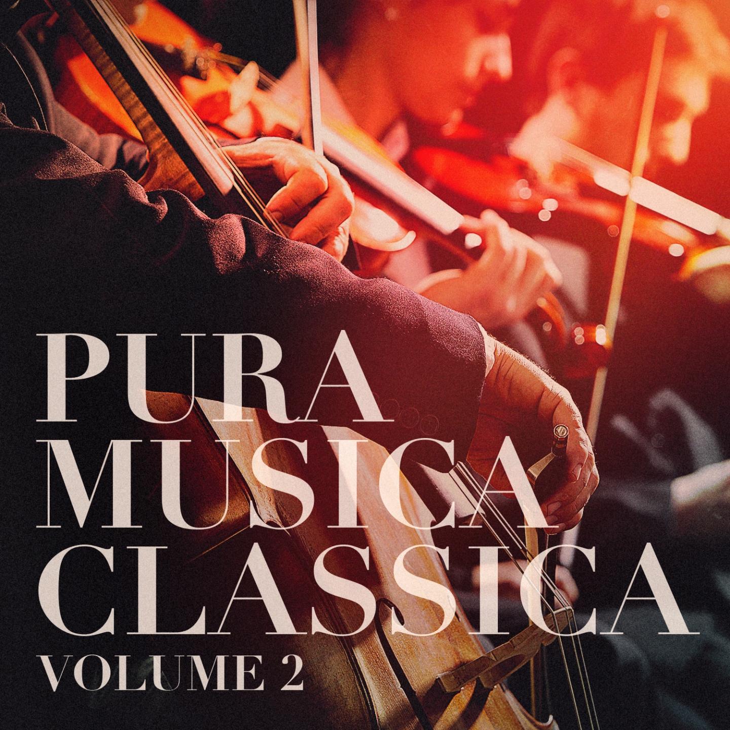 Постер альбома Pura Musica Classica, Vol. 2