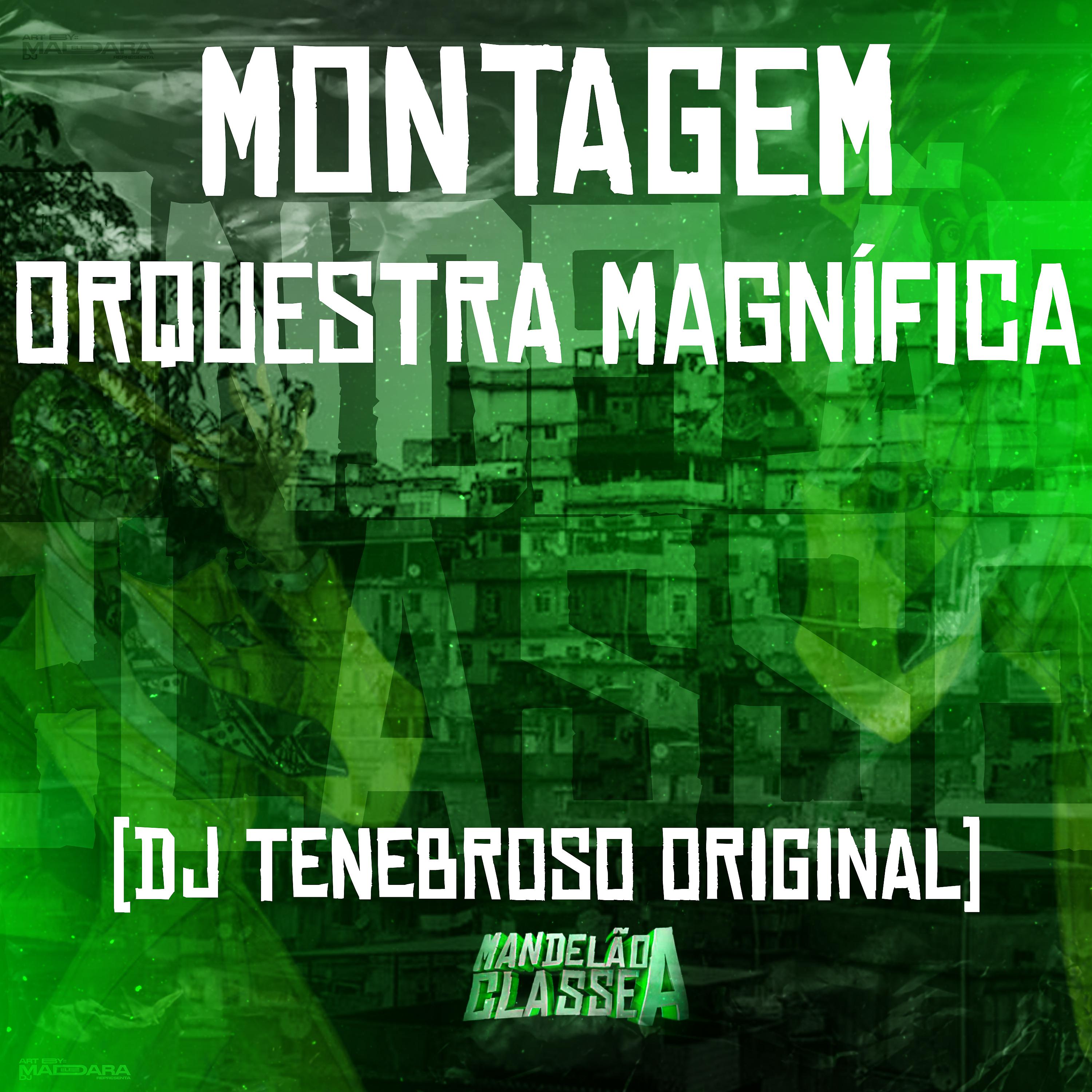 Постер альбома Montagem Orquestra Magnífica