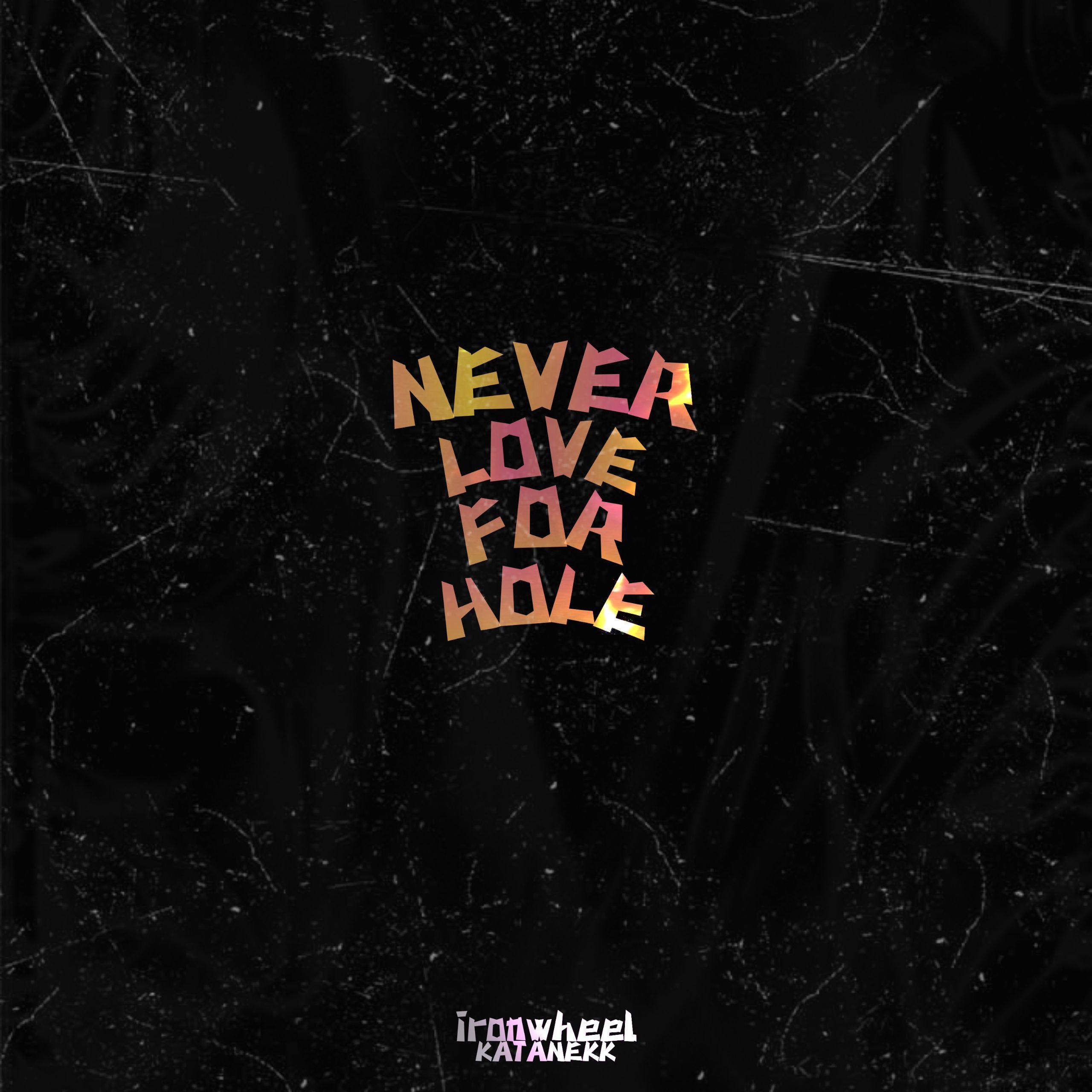 Постер альбома Never Love for Hole (feat. Katanekk)