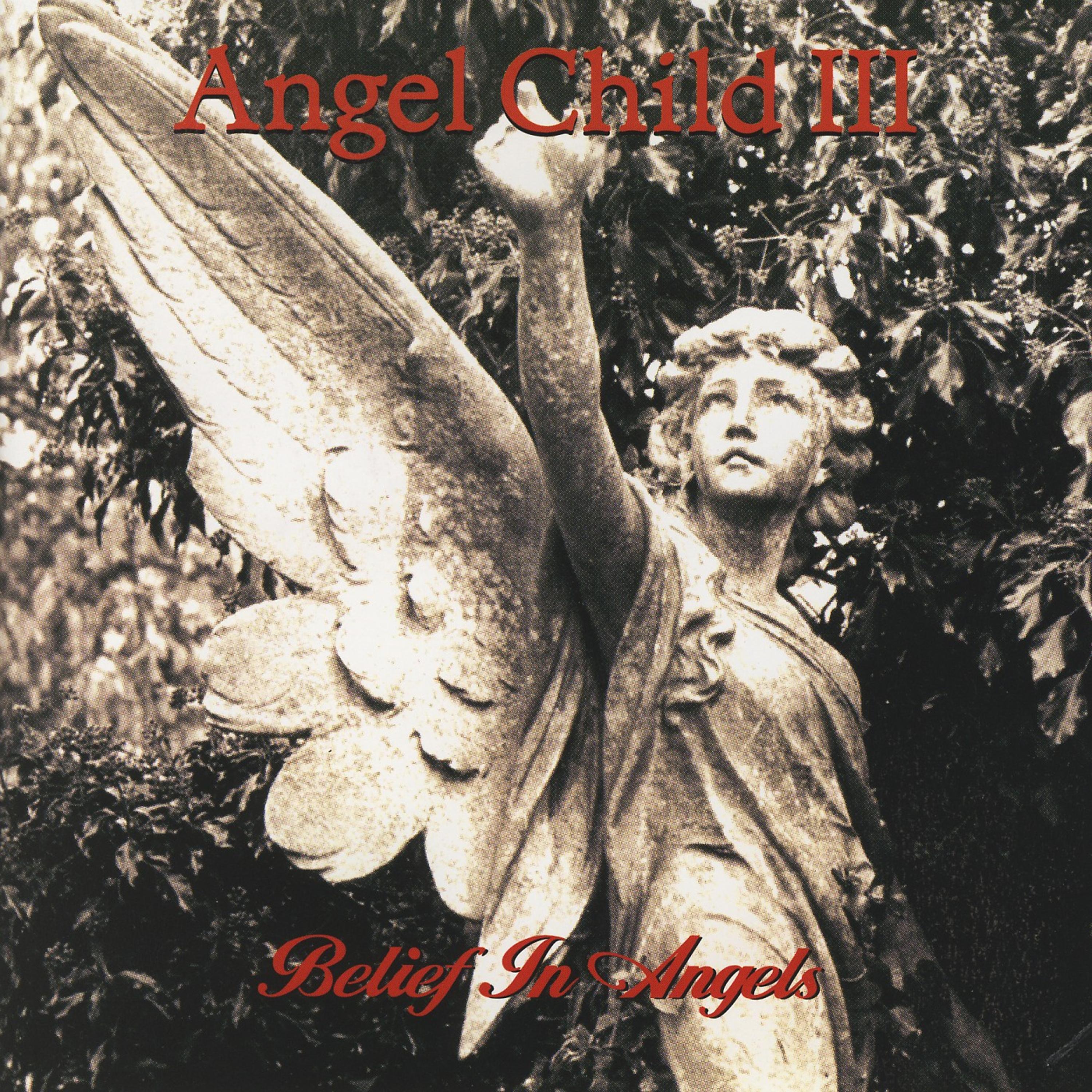 Постер альбома Angel Child III - Belief in Angels