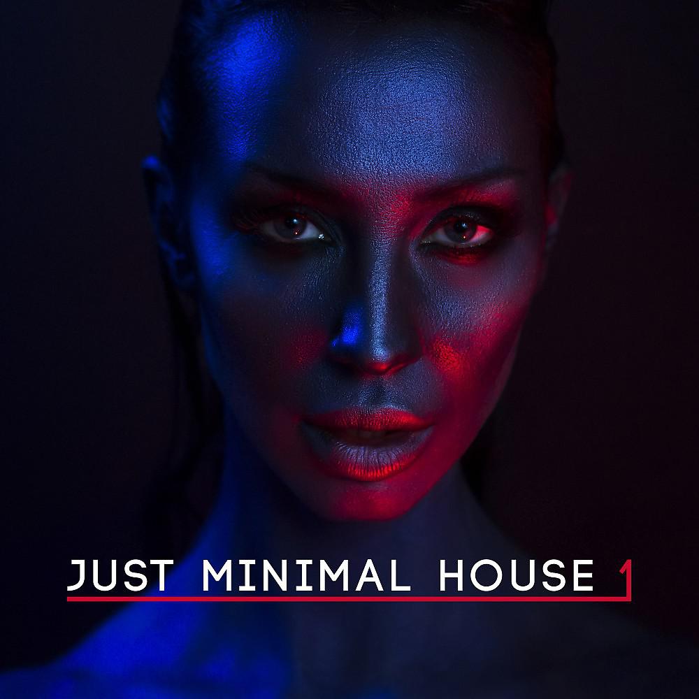 Постер альбома Just Minimal House, Vol. 1