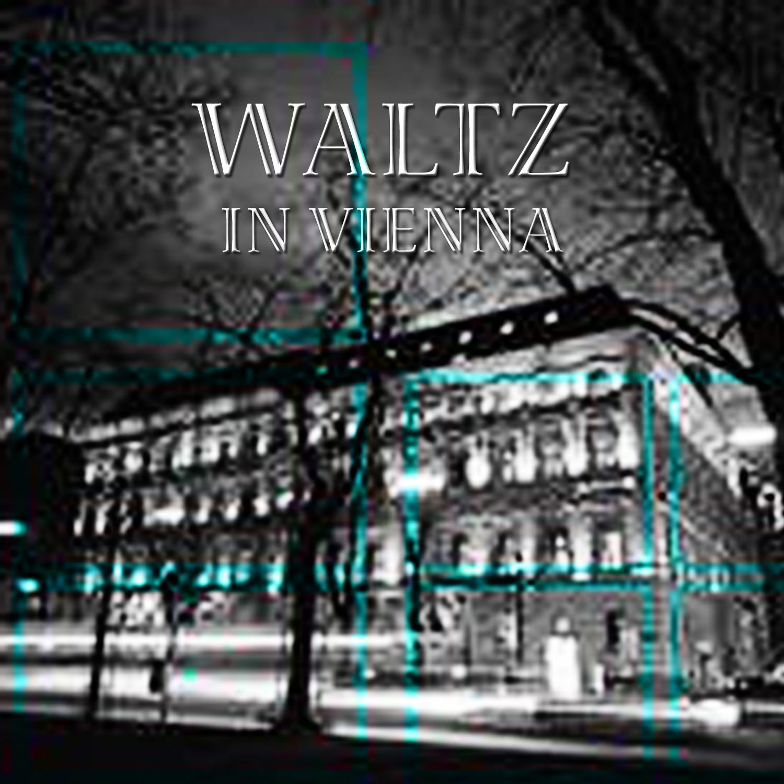 Постер альбома Waltz in Vienna