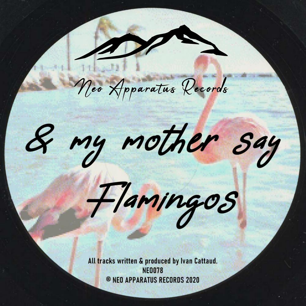 Постер альбома Flamingos