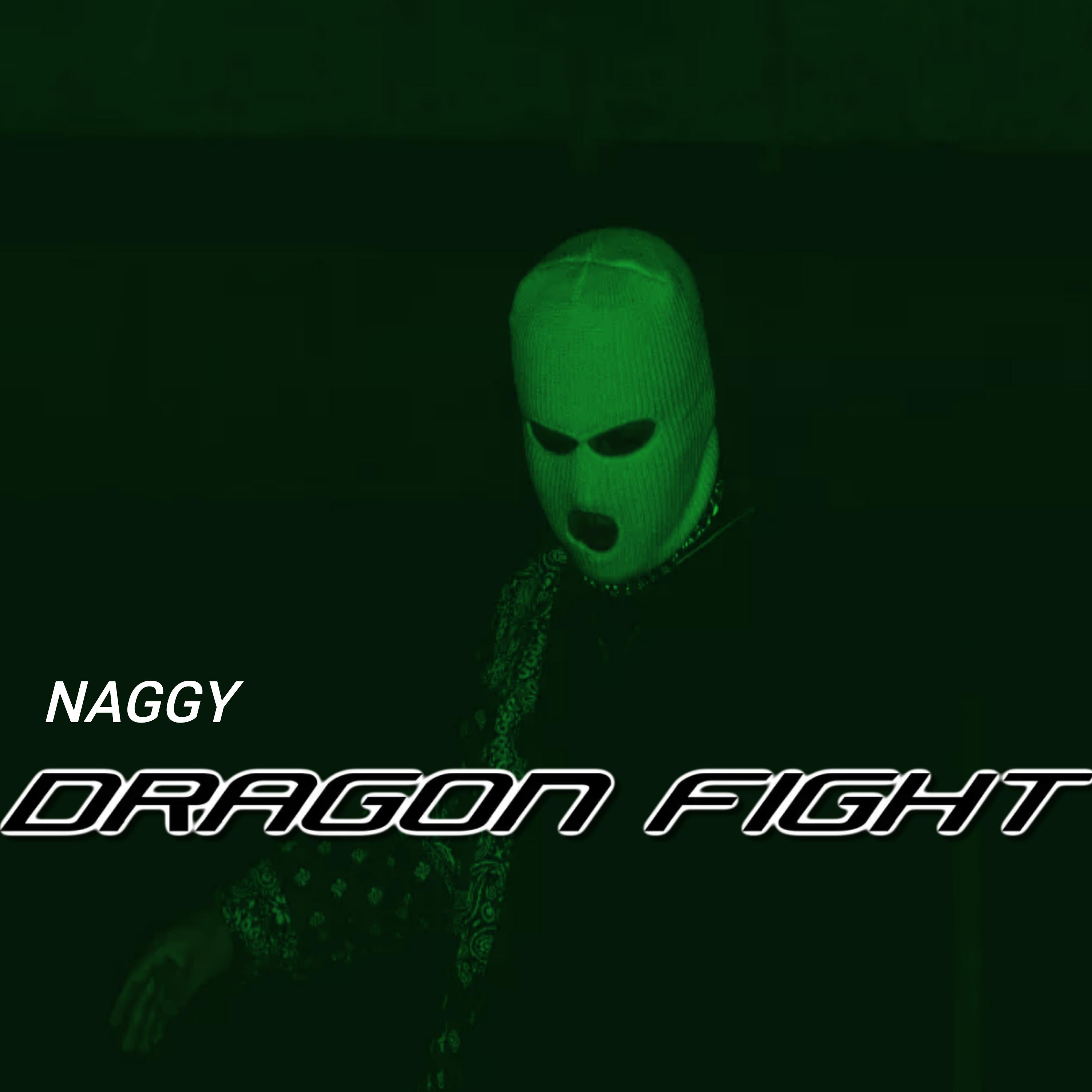 Постер альбома DRAGON FIGHT