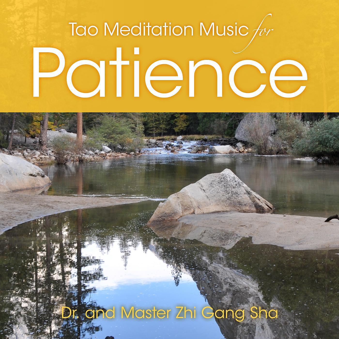 Постер альбома Tao Meditation for Patience