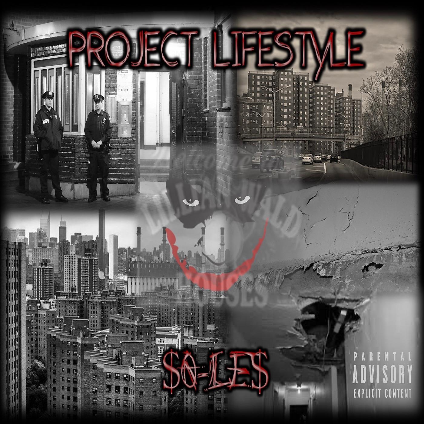 Постер альбома Project Lifestyle