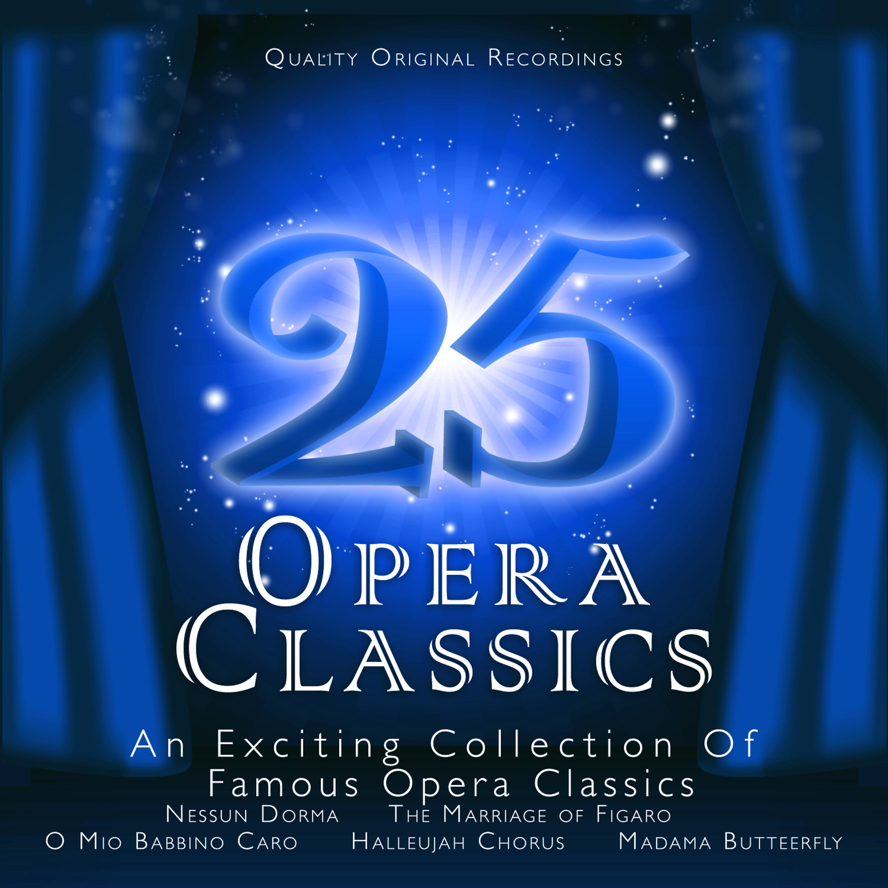 Постер альбома 25 Opera Classics
