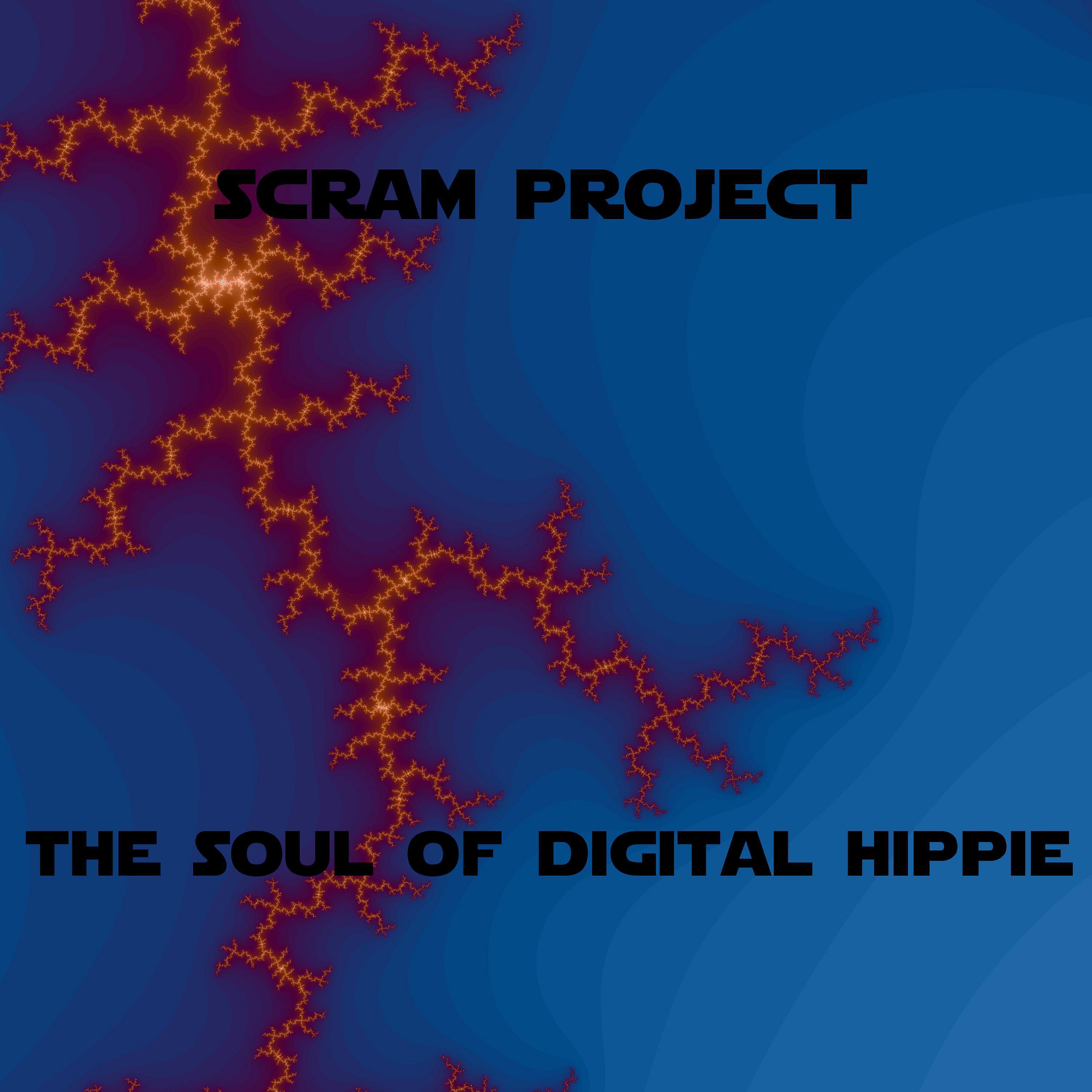 Постер альбома The soul of digital hippie