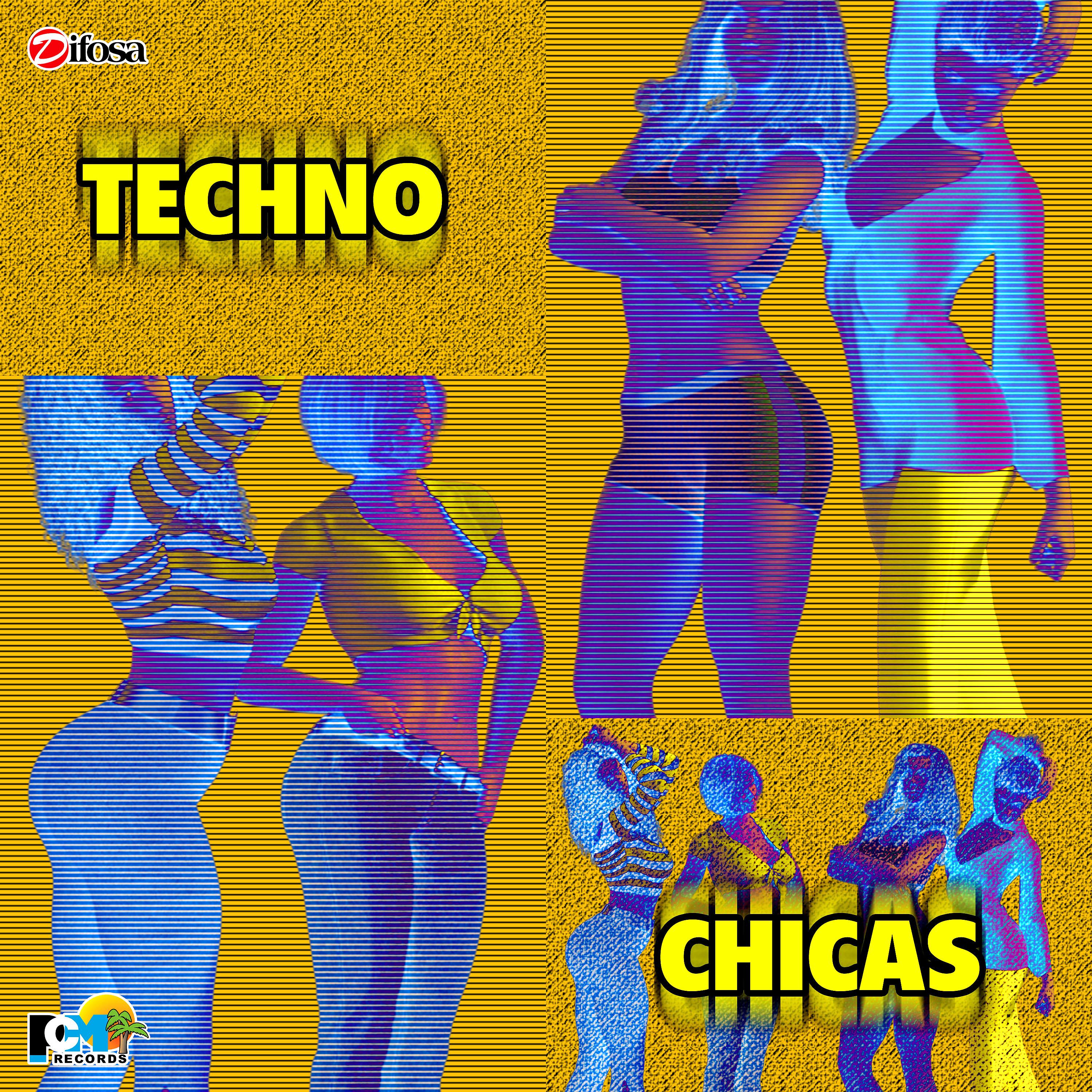Постер альбома Techno Chicas