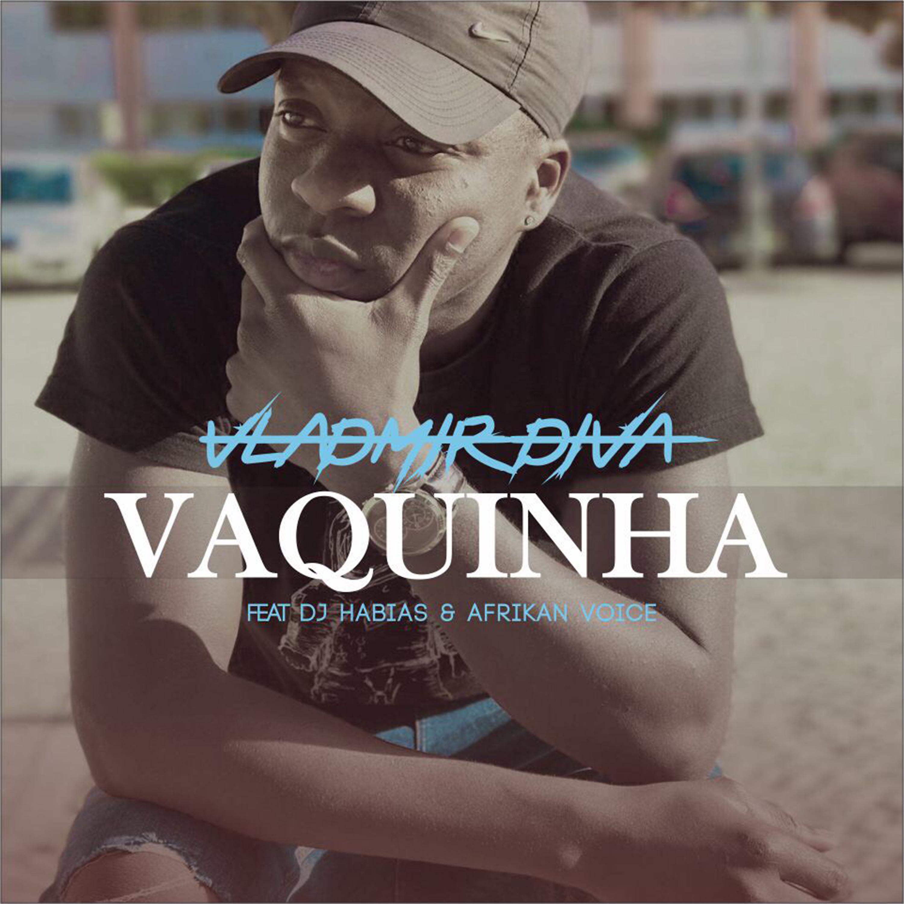 Постер альбома Vaquinha