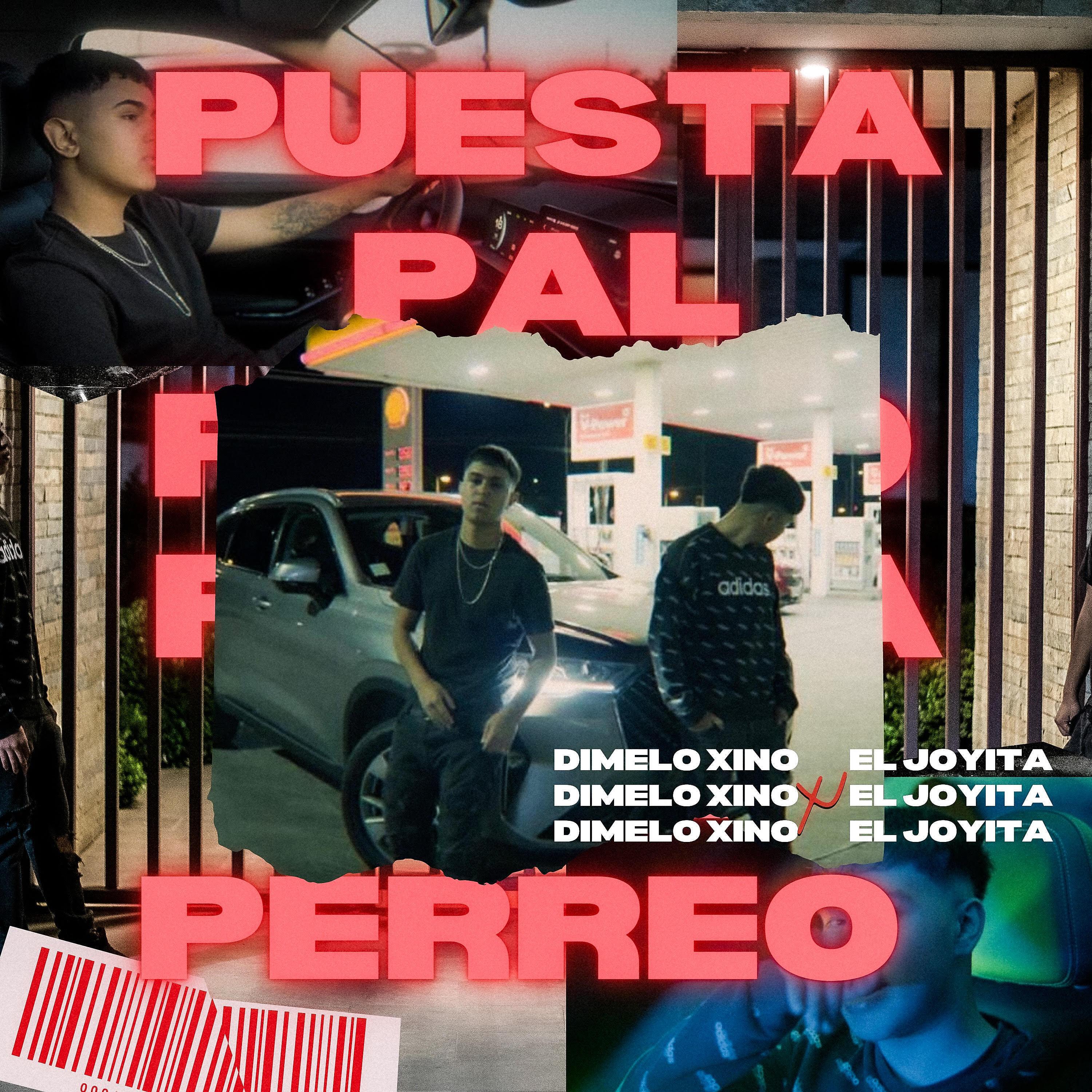 Постер альбома Puesta Pal Perreo