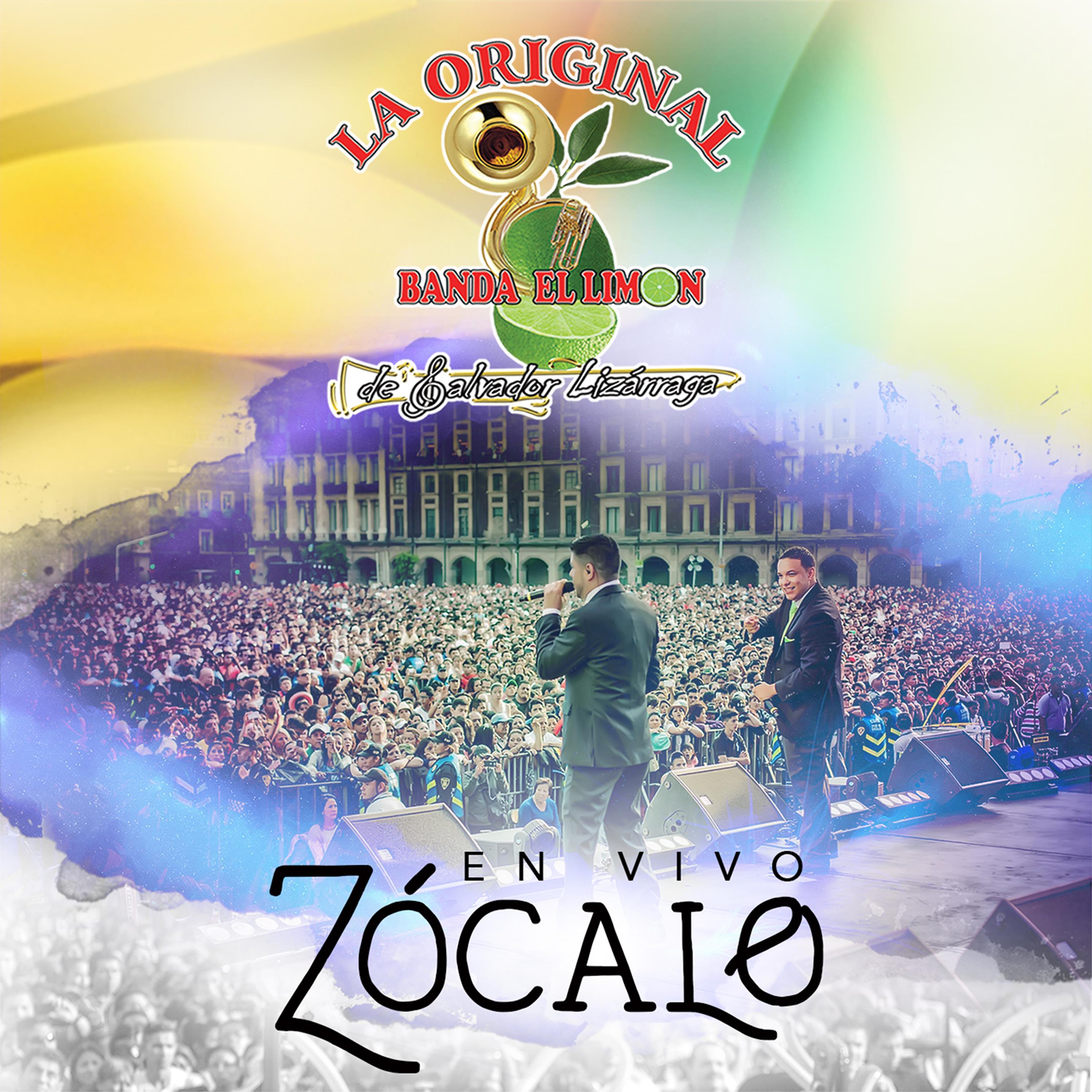 Постер альбома En Vivo Zócalo