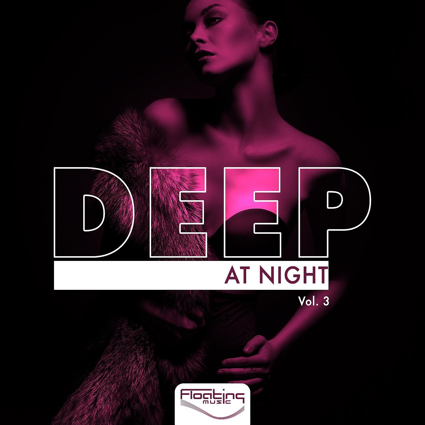 Постер альбома Deep at Night, Vol. 3
