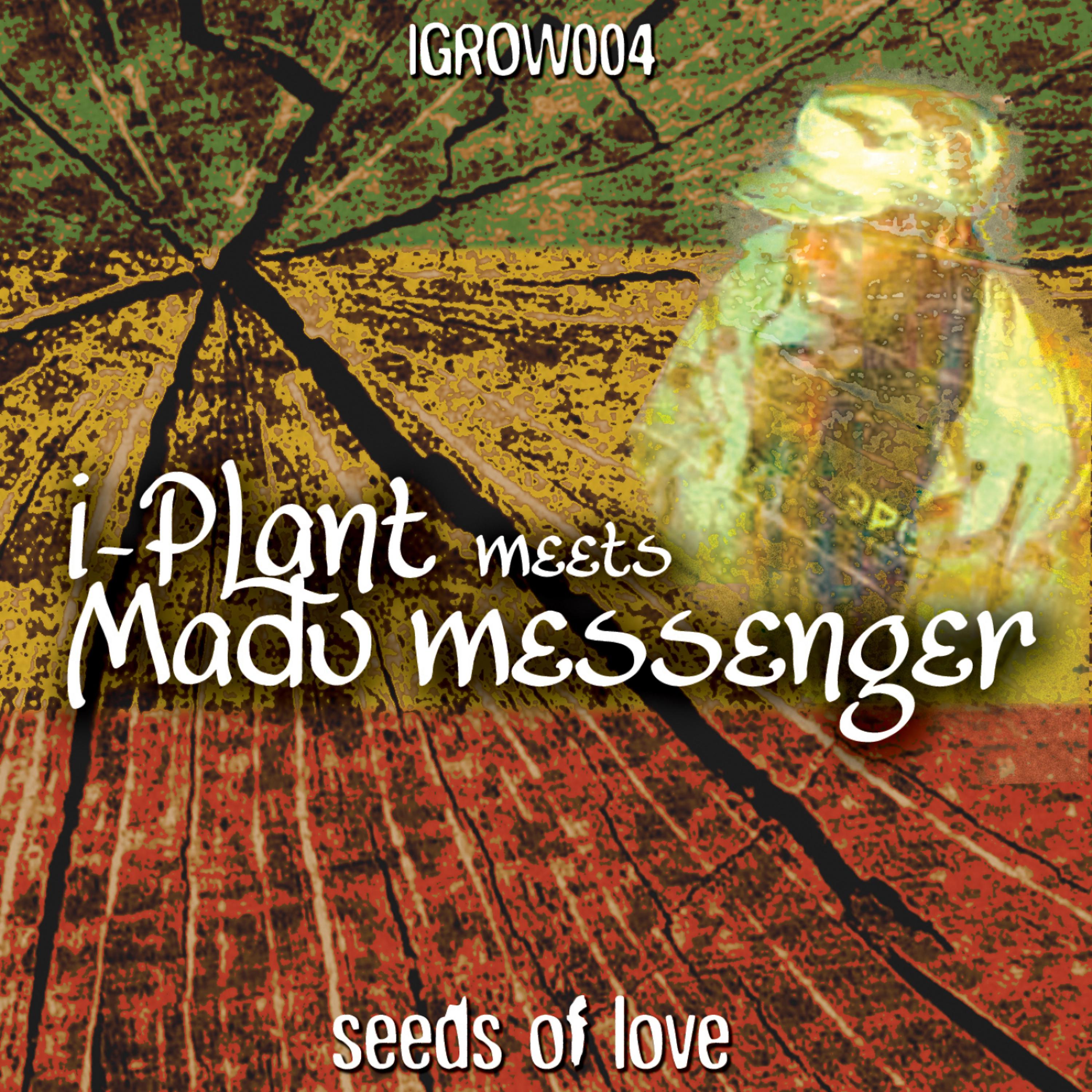 Постер альбома Seeds of Love / River Blow