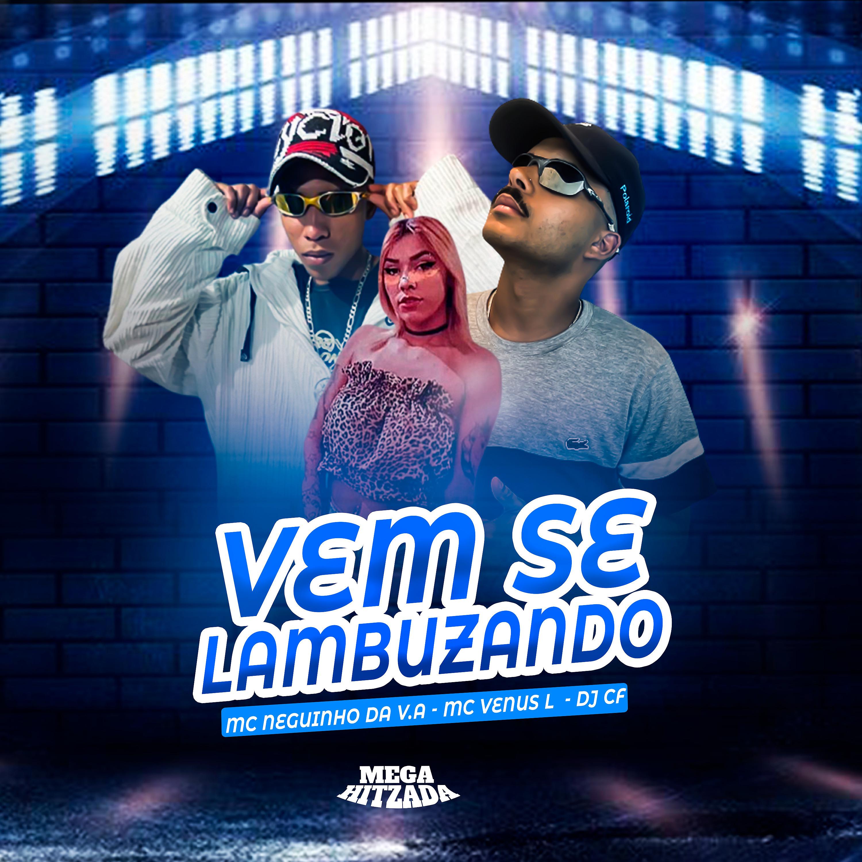 Постер альбома Vem Se Lambuzando