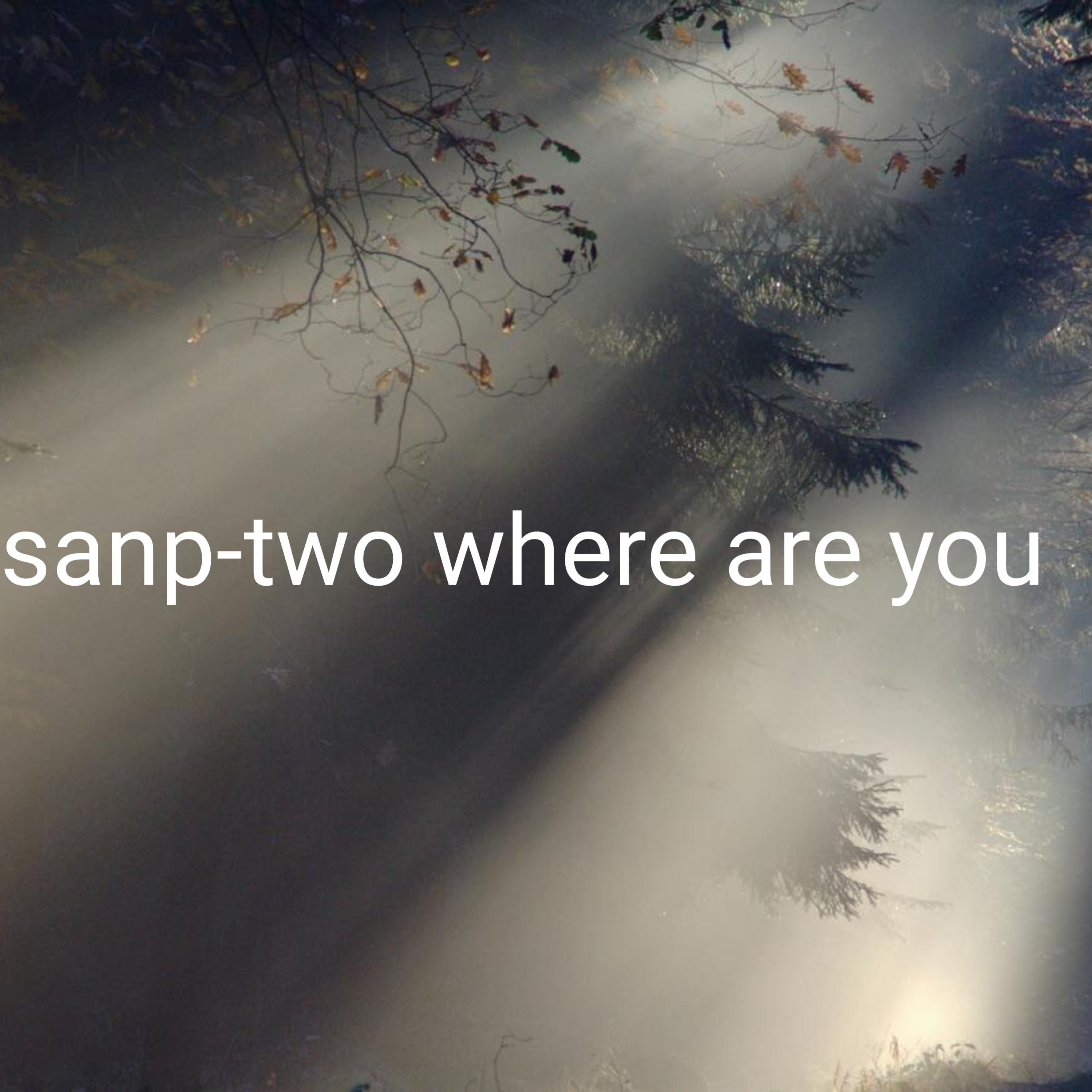 Постер альбома sanp-two where are you