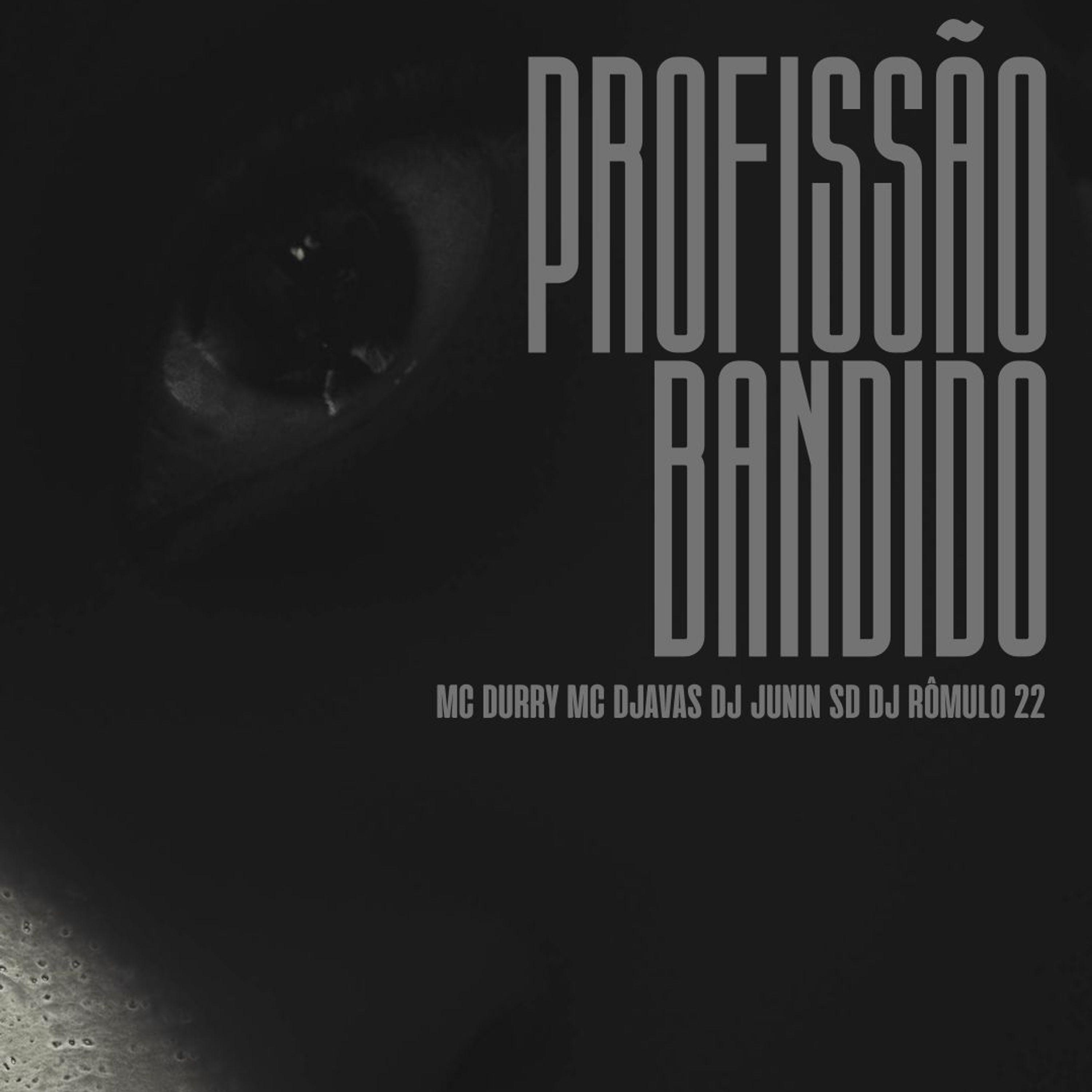 Постер альбома Profissão Bandido