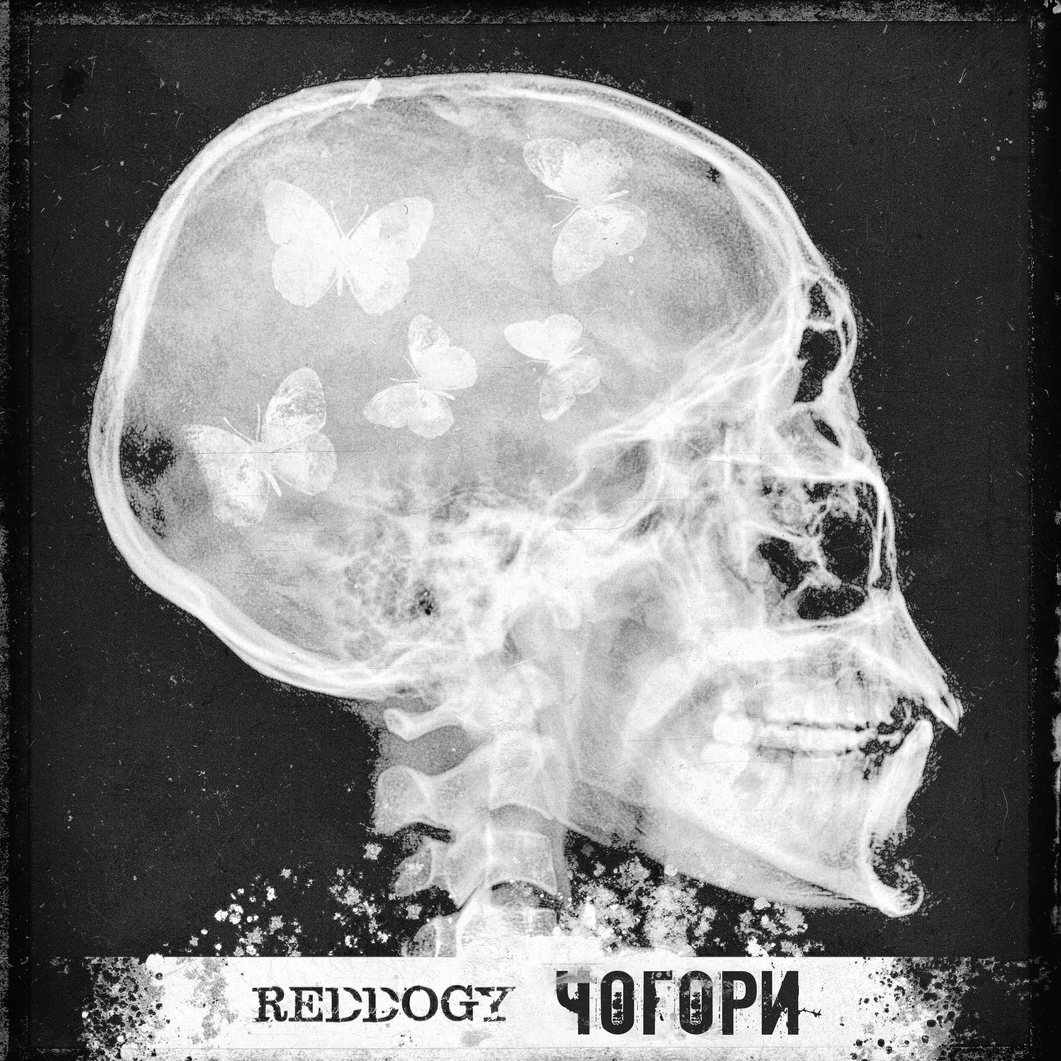 Постер альбома Чогори