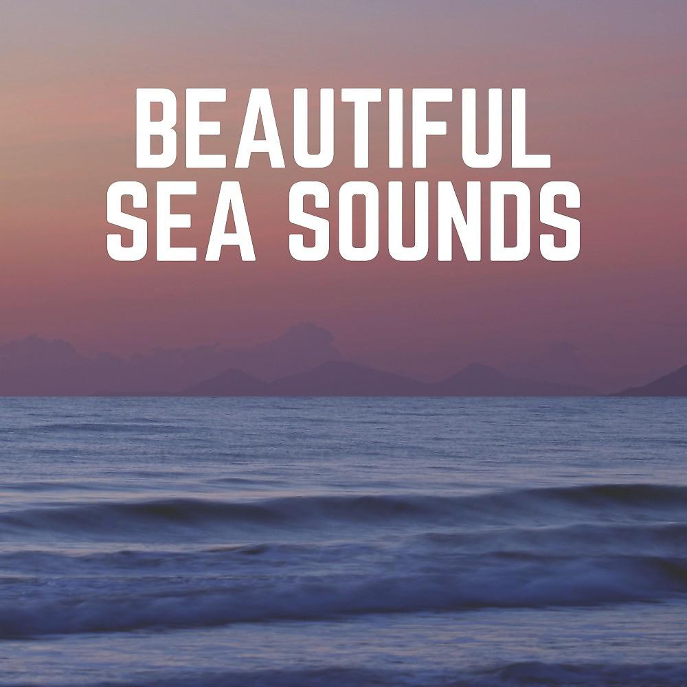 Постер альбома Beautiful Sea Sounds