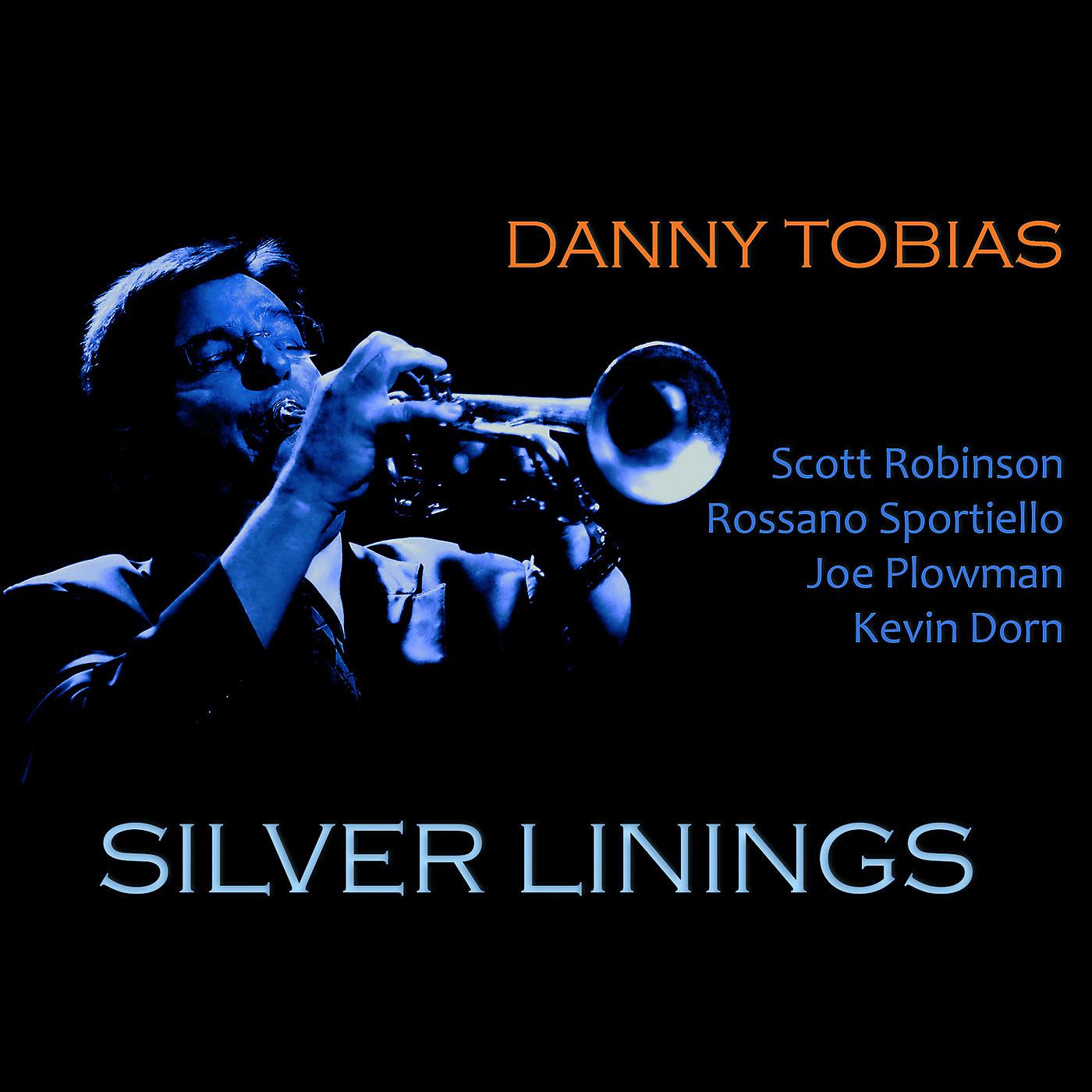 Постер альбома Silver Linings