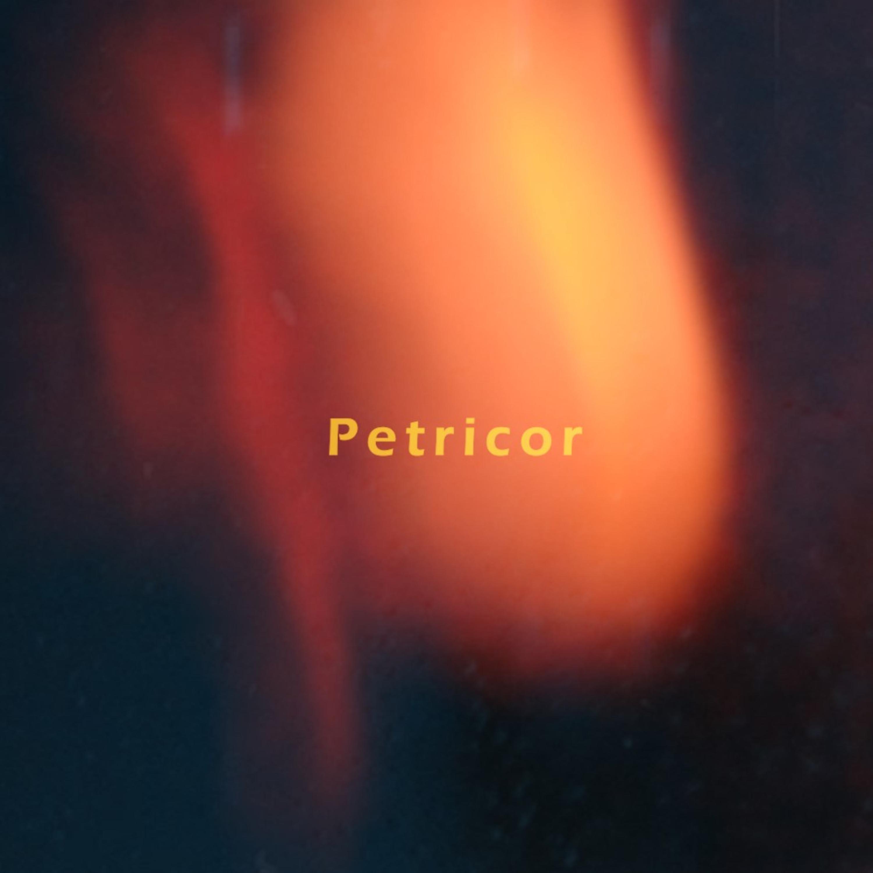 Постер альбома Petricor