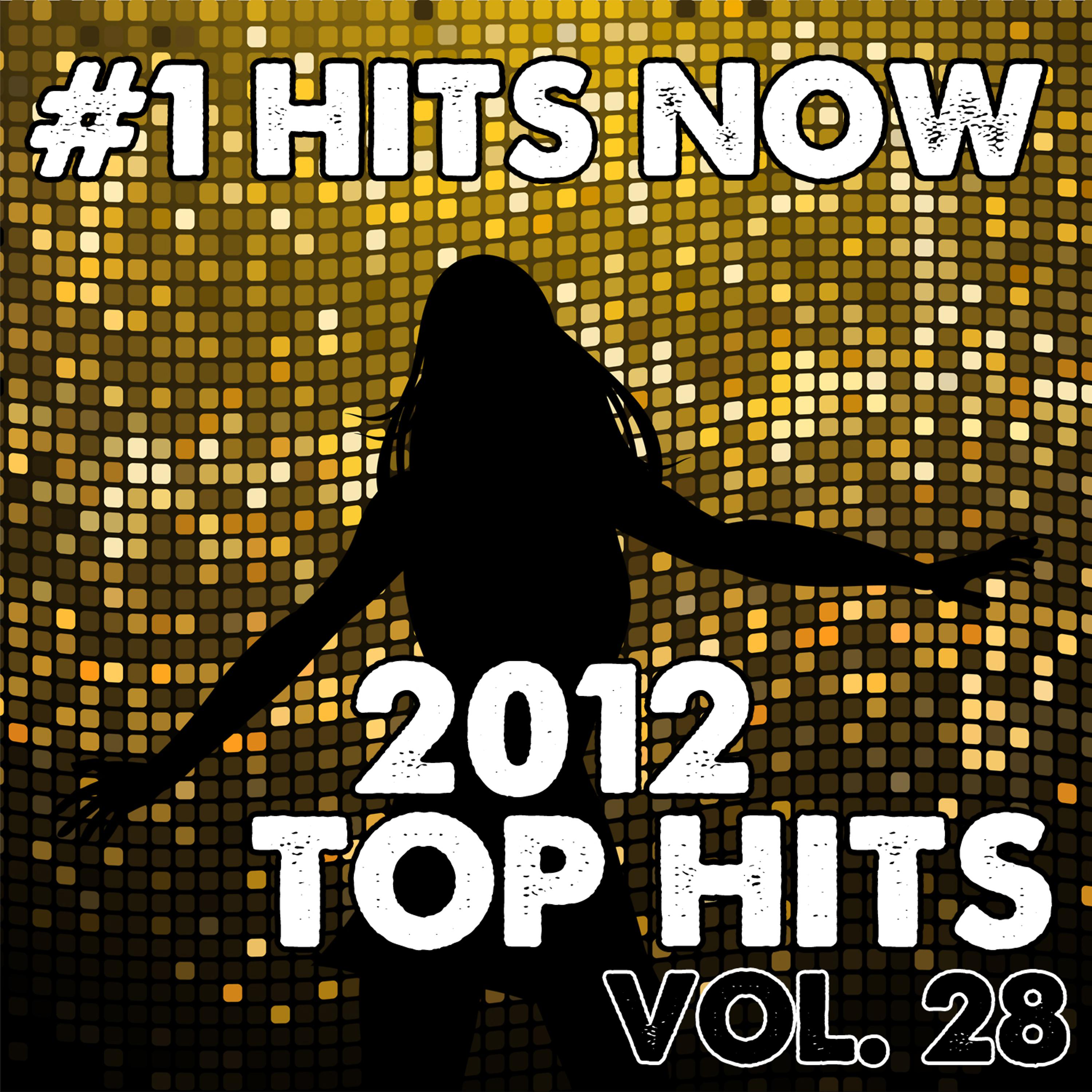 Постер альбома 2012 Top Hits, Vol. 28