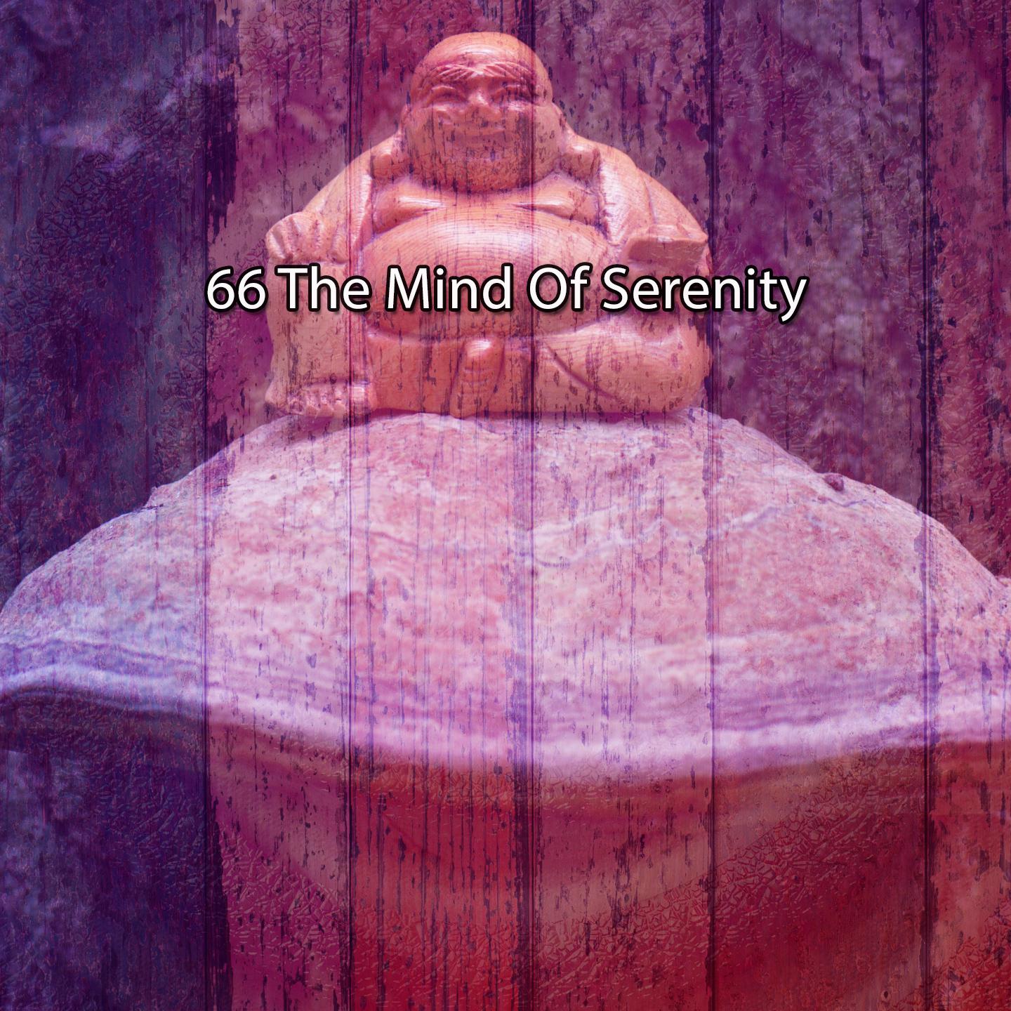 Постер альбома 66 The Mind Of Serenity
