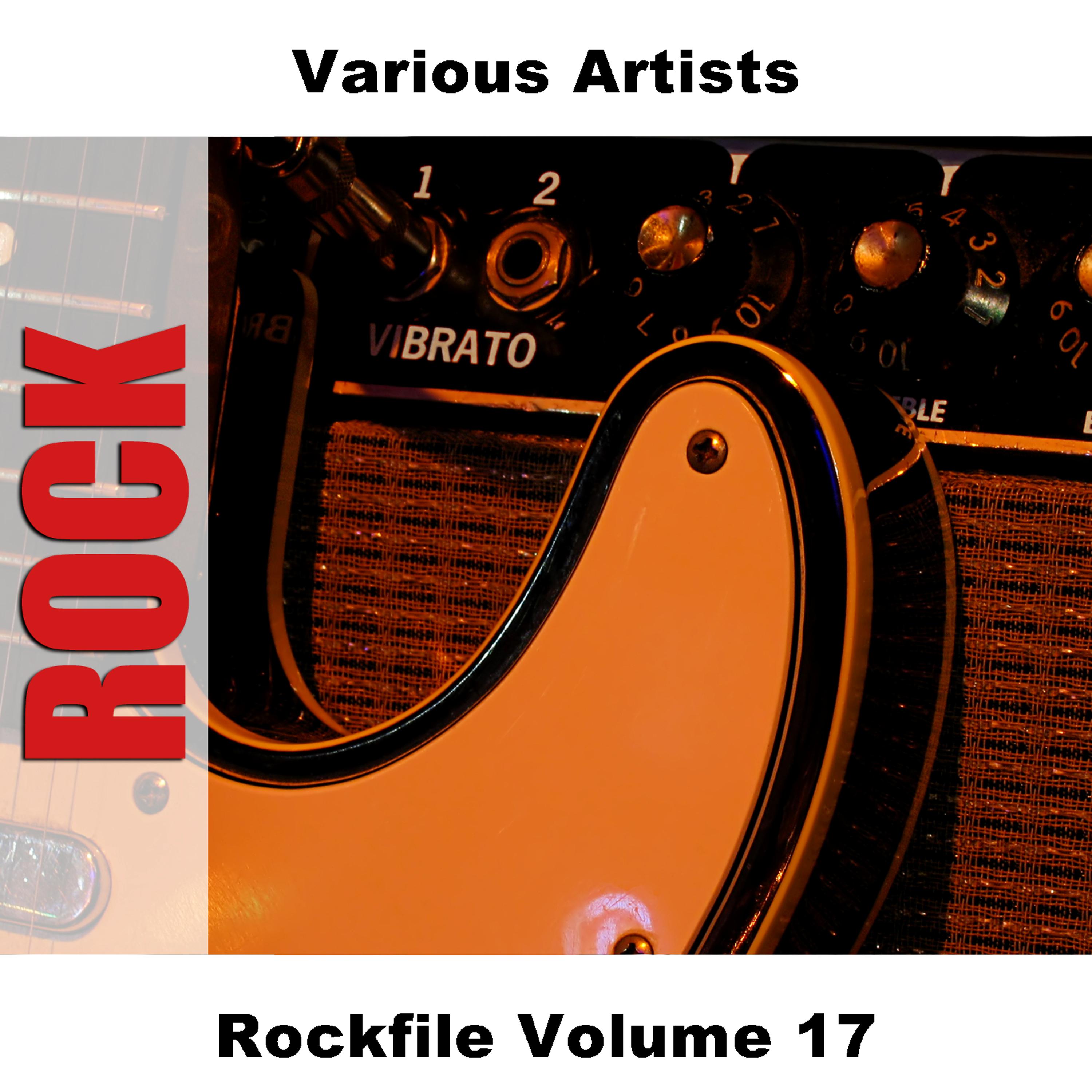 Постер альбома Rockfile Volume 17