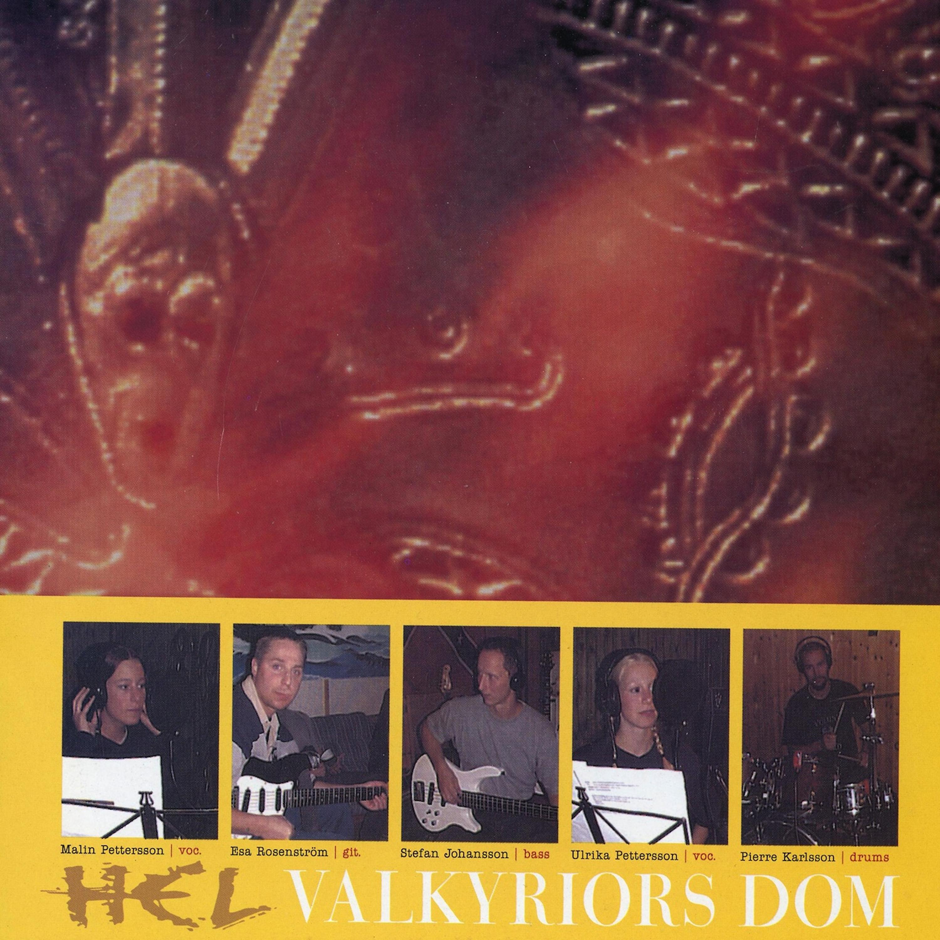 Постер альбома Valkyriors Dom