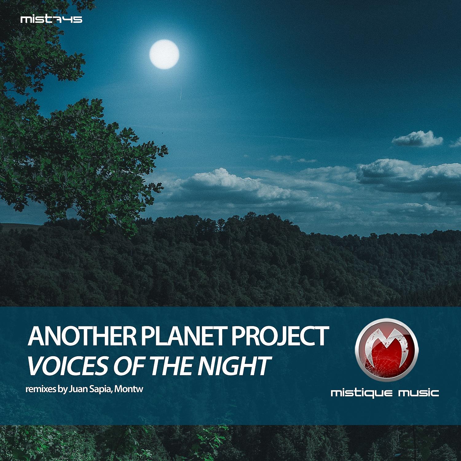 Постер альбома Voices of the Night