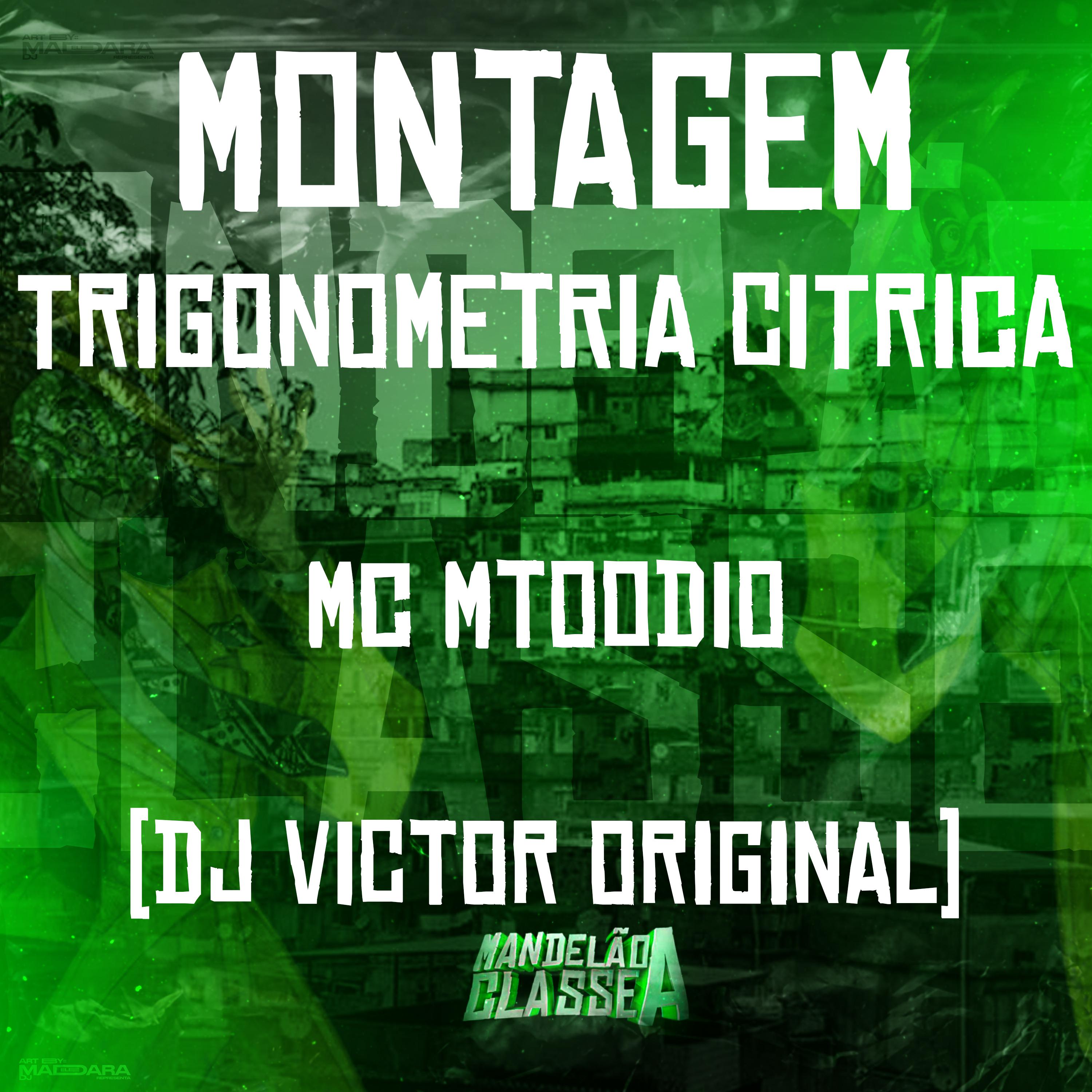 Постер альбома Montagem Trigonometria Citrica