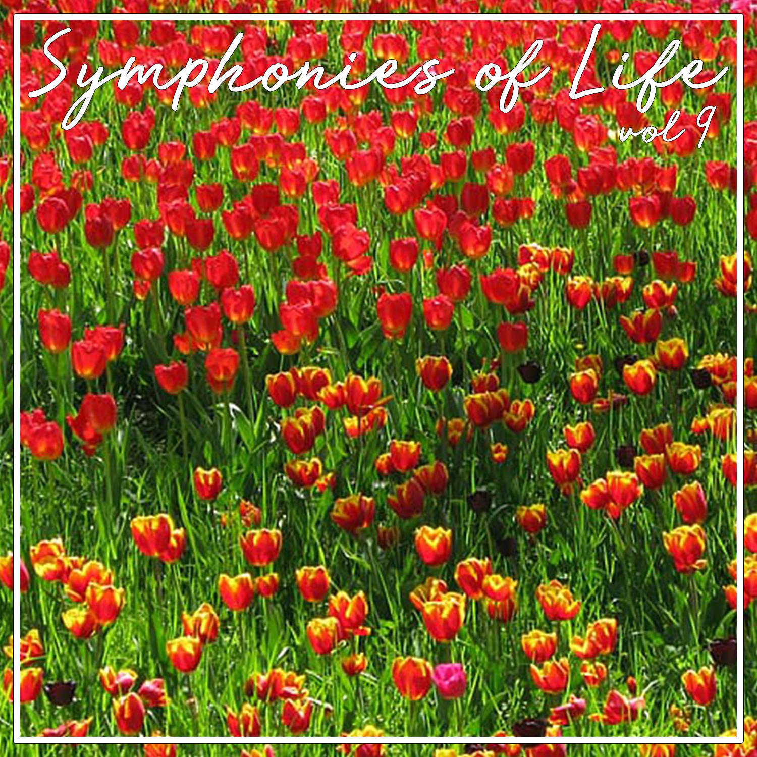 Постер альбома Symphonies Of Life, Vol. 9 - Vivaldi: Concerti