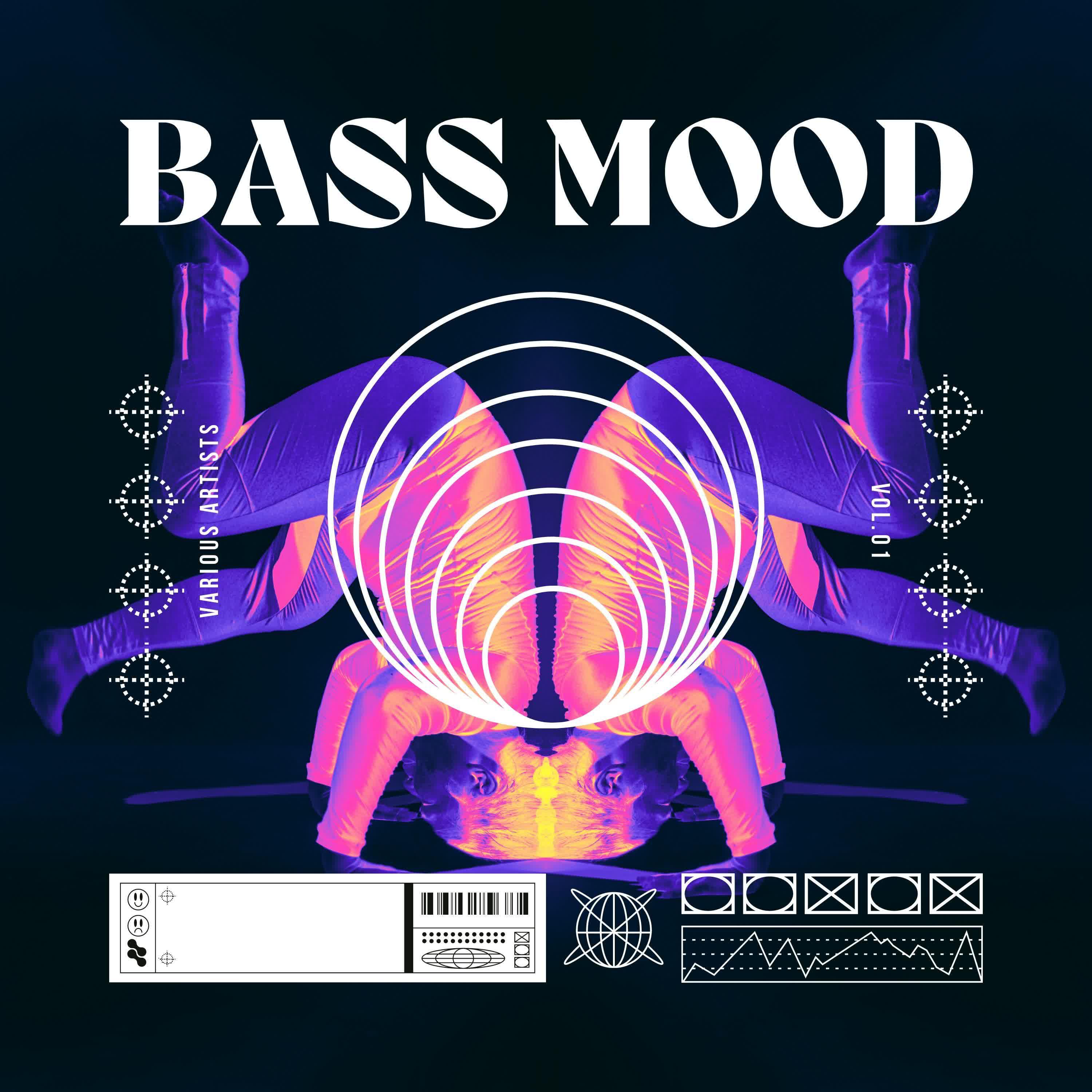Постер альбома Bass Mood, Vol. 1