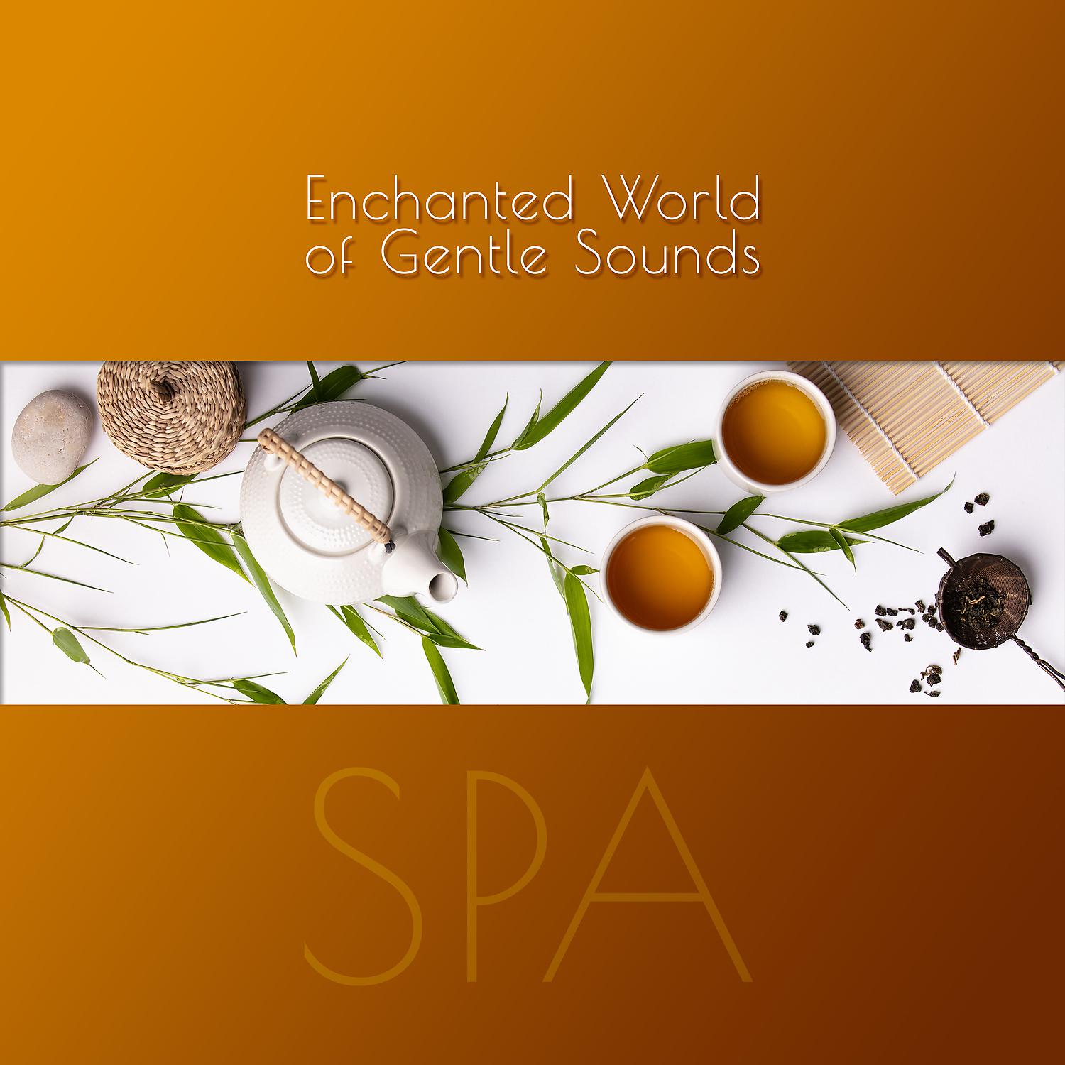 Постер альбома Enchanted World of Gentle Sounds – SPA: 30 Tracks for Your Wellbeing, Inner Stillness, Calm Delight