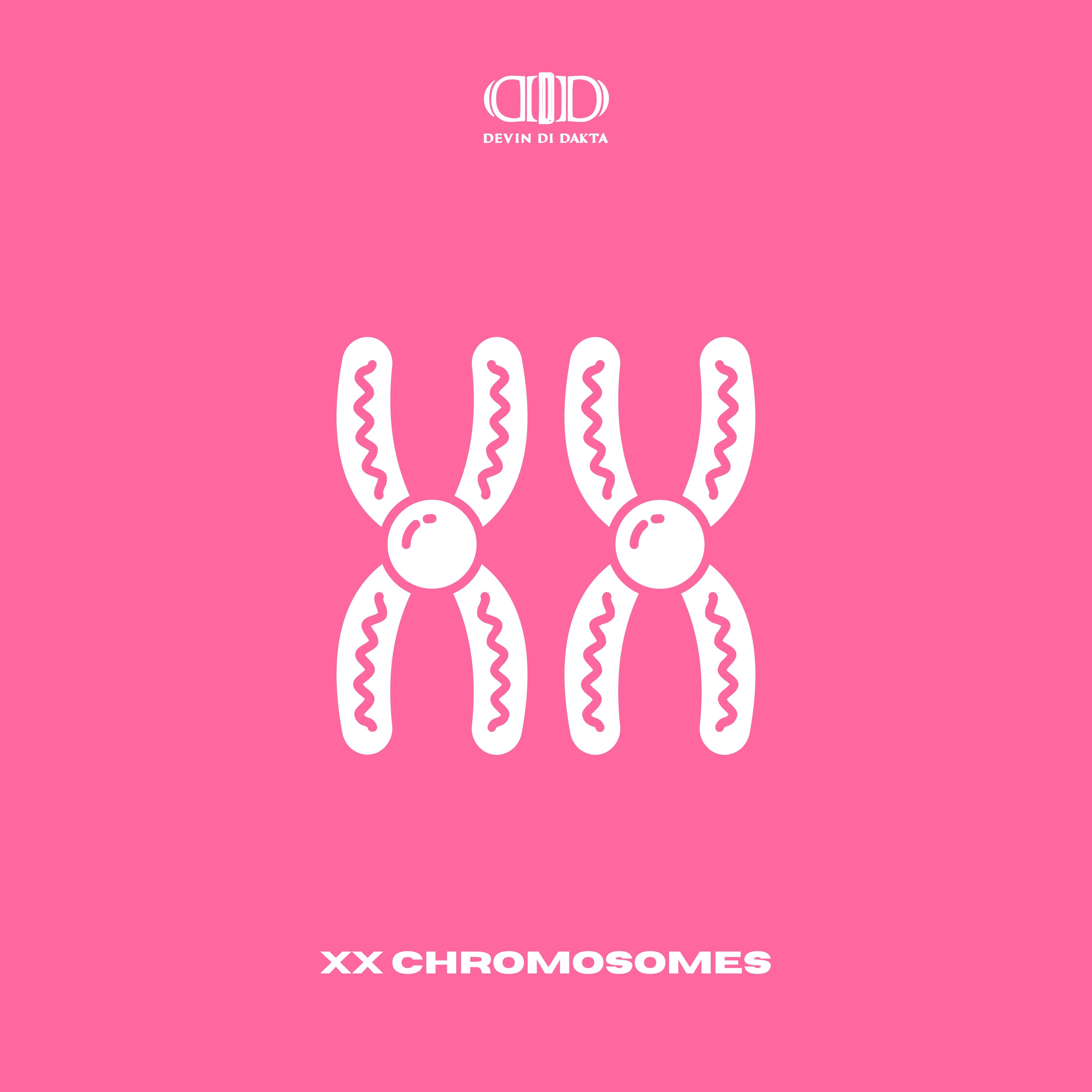 Постер альбома XX Chromosomes