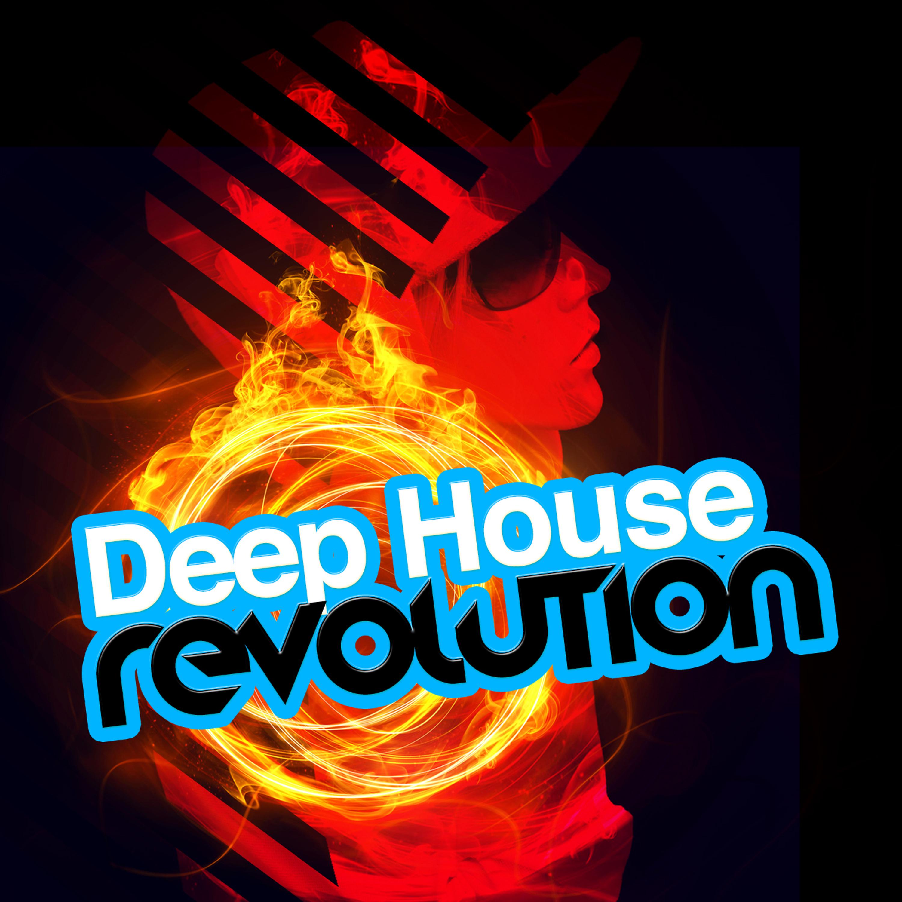 Постер альбома Deep House Revolution
