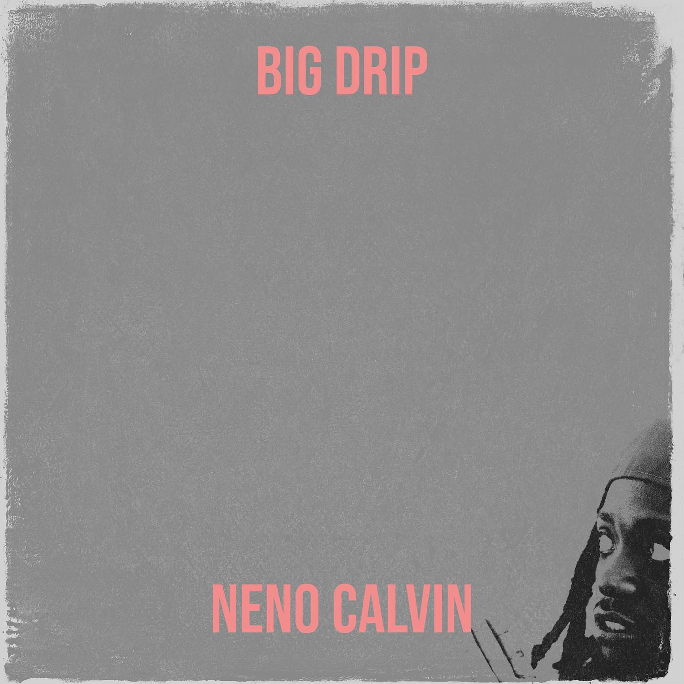 Постер альбома Big Drip