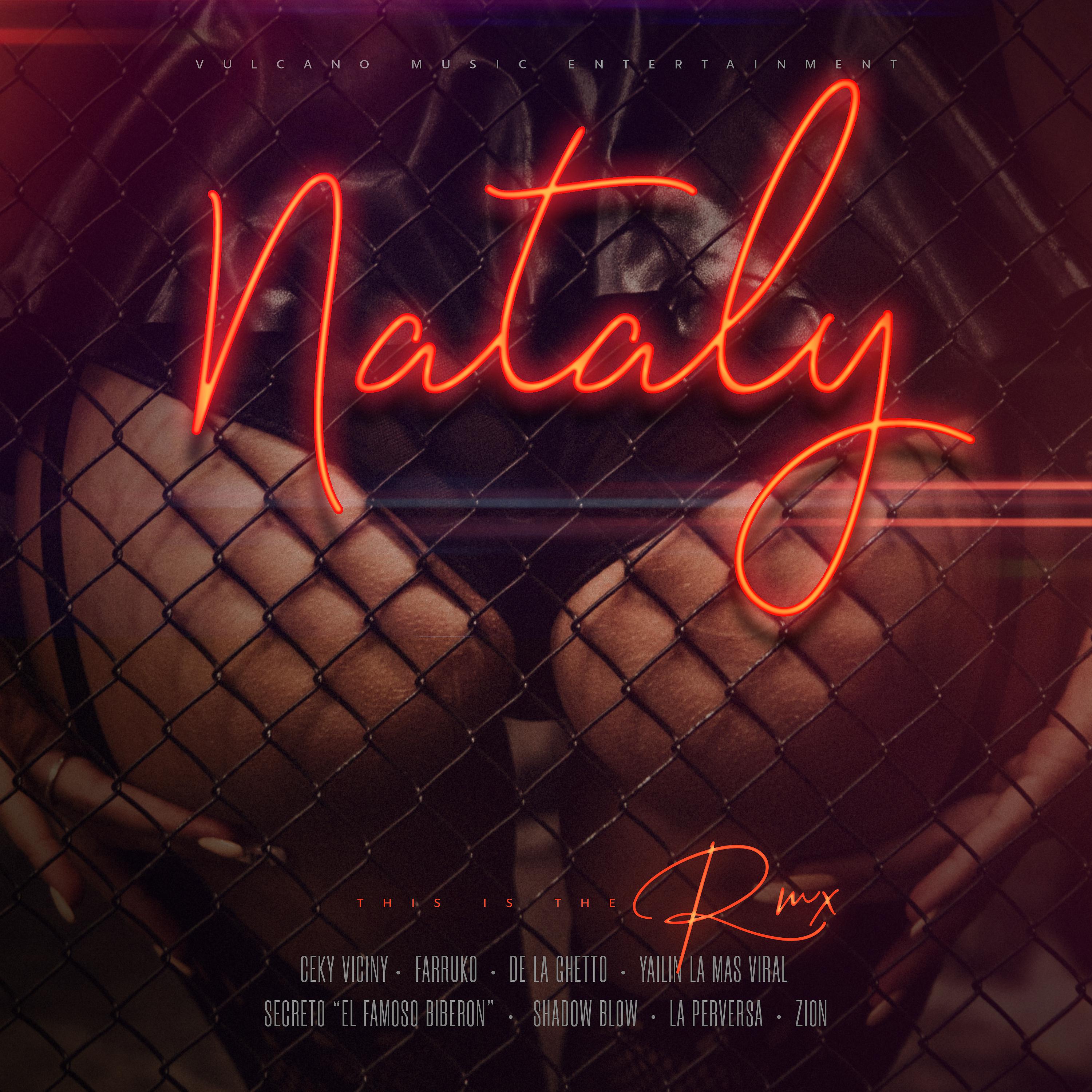 Постер альбома Nataly (Remix)