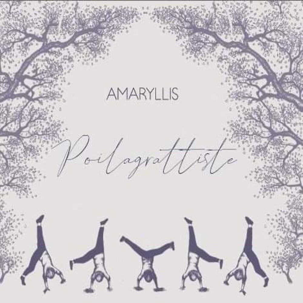 Постер альбома Poilagrattiste