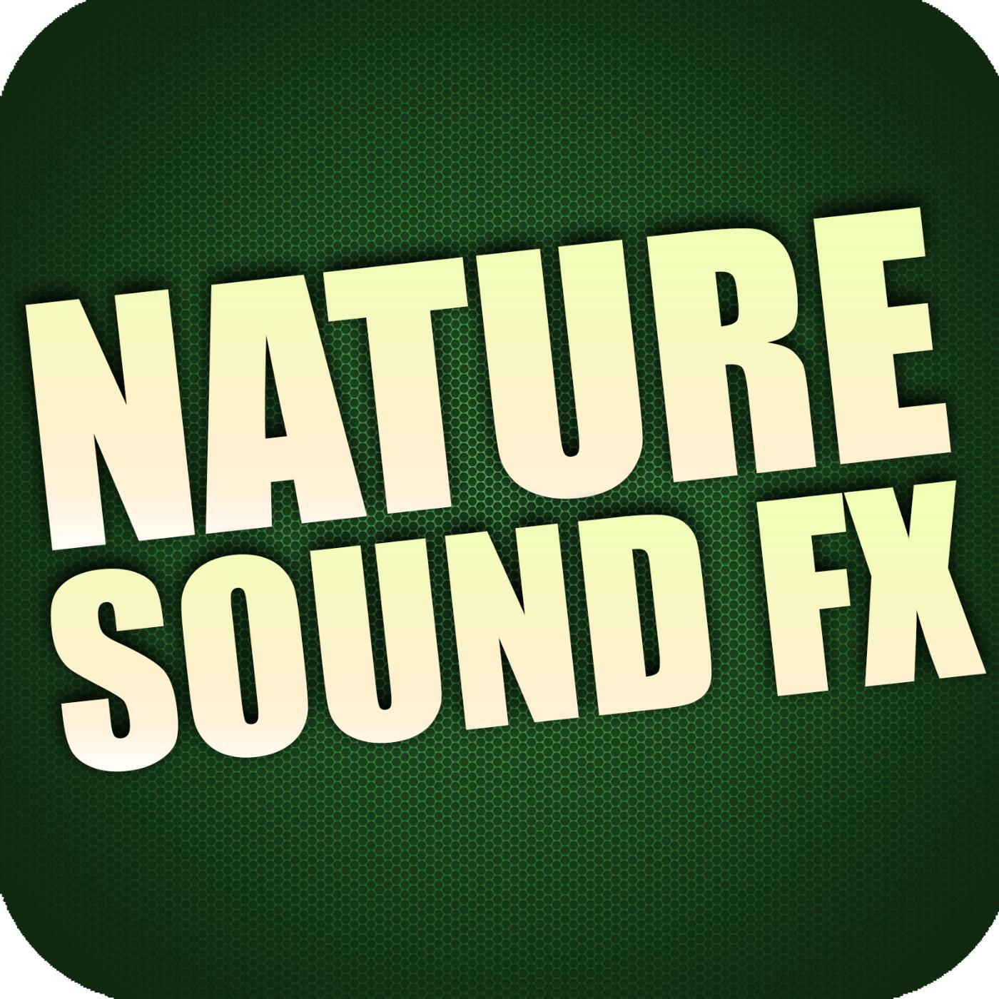 Постер альбома Nature Sound Effects