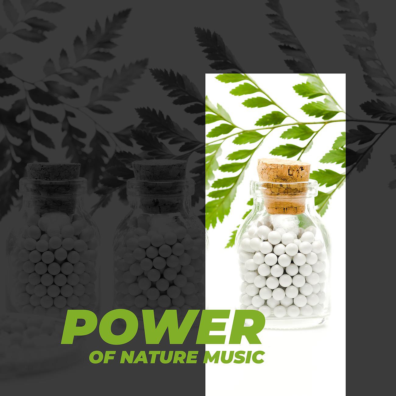 Постер альбома Power of Nature Music - Connect with Nature, Music of Nature's Medicine