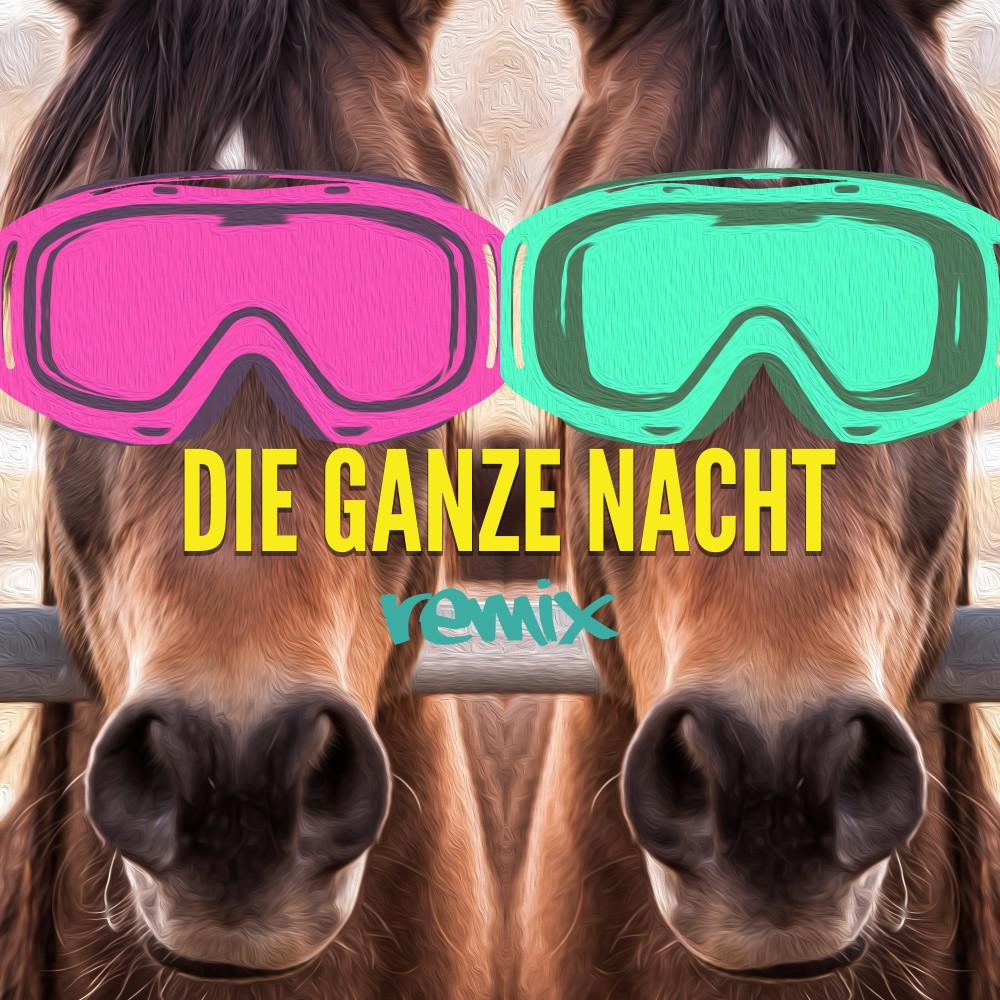 Постер альбома Die ganze Nacht (Remix)
