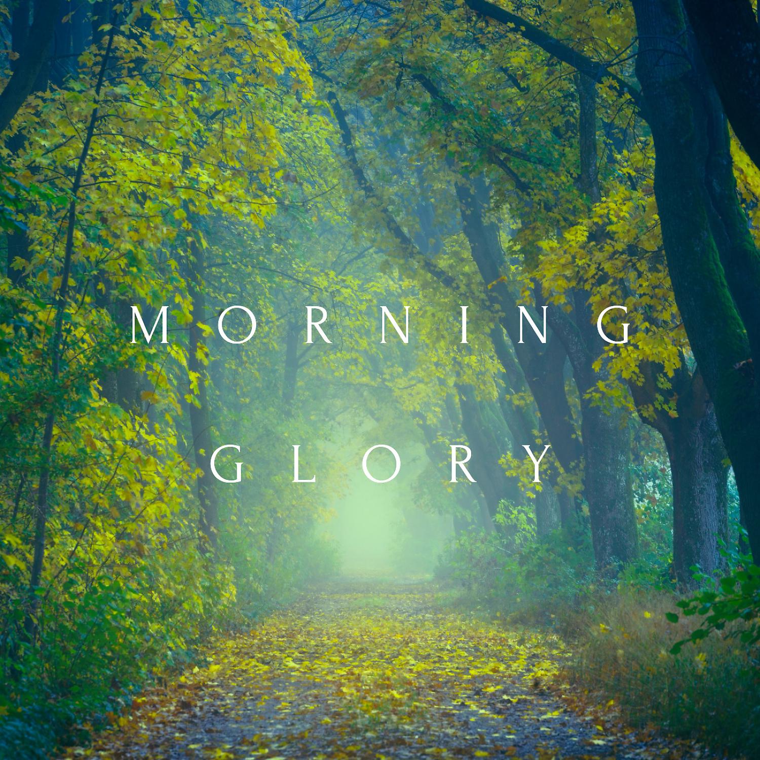 Постер альбома Morning Glory